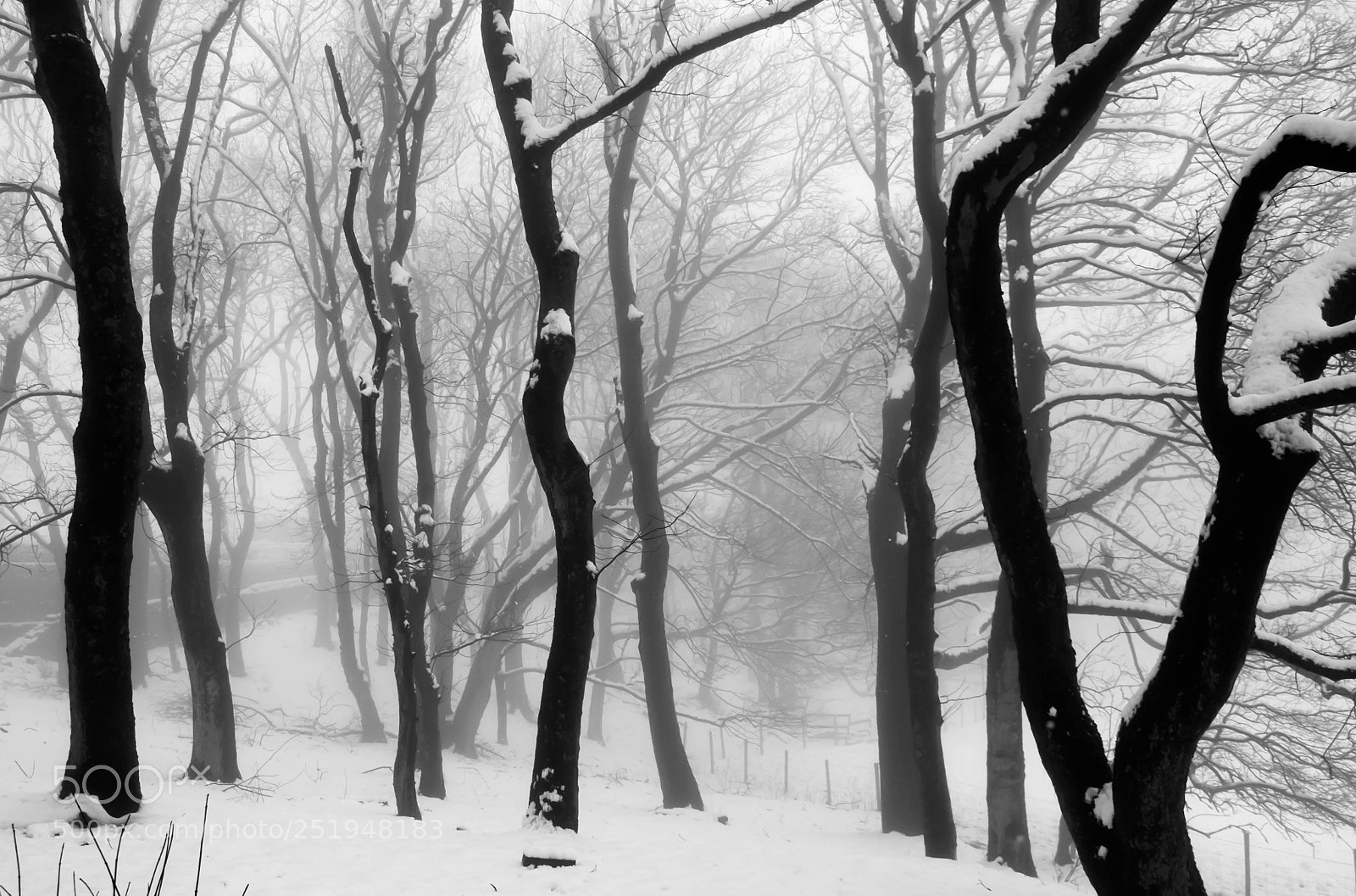 Fujifilm X-E2 sample photo. Sangfroid photography