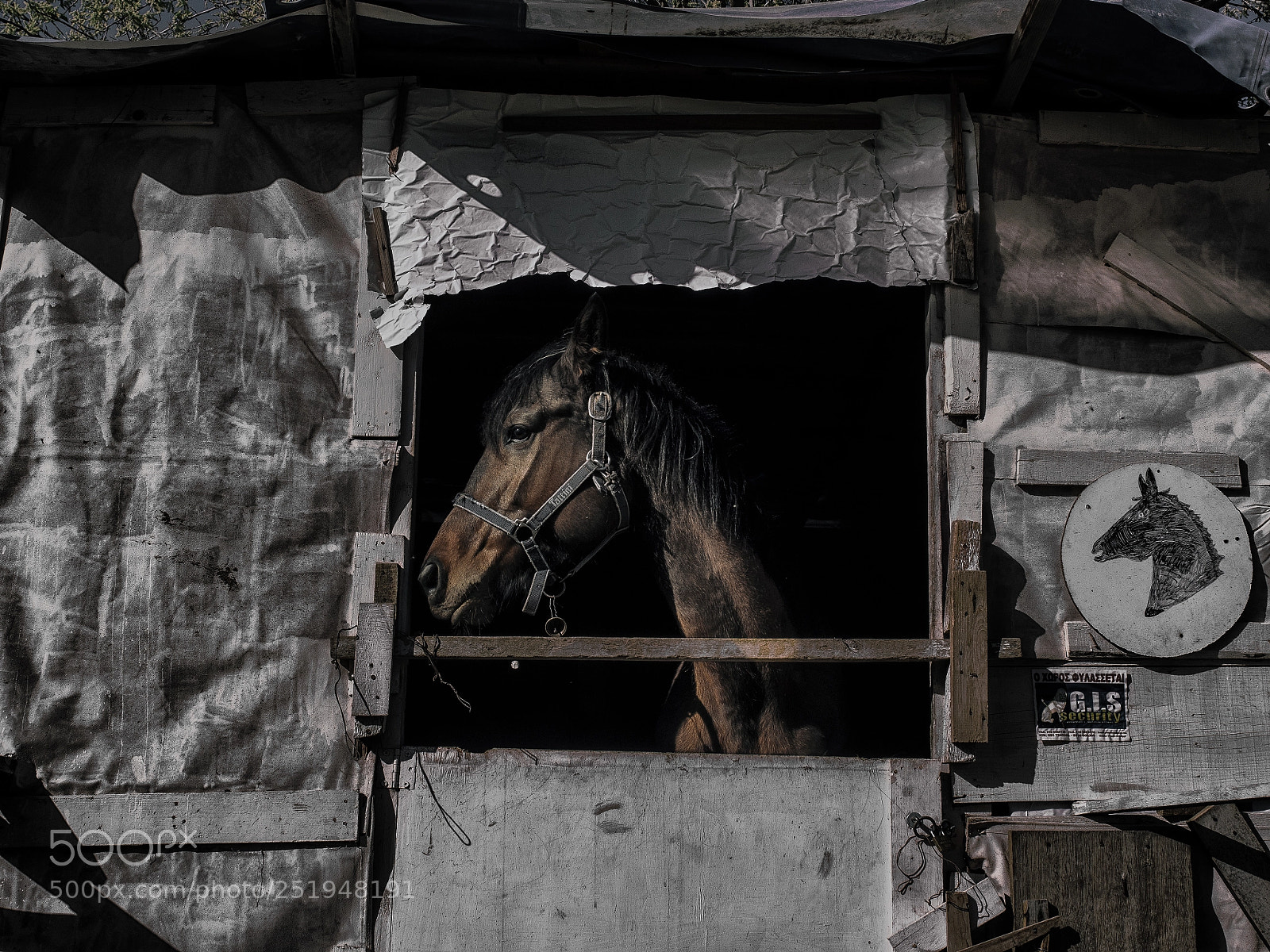 Olympus PEN E-PL5 sample photo. Face in the window photography