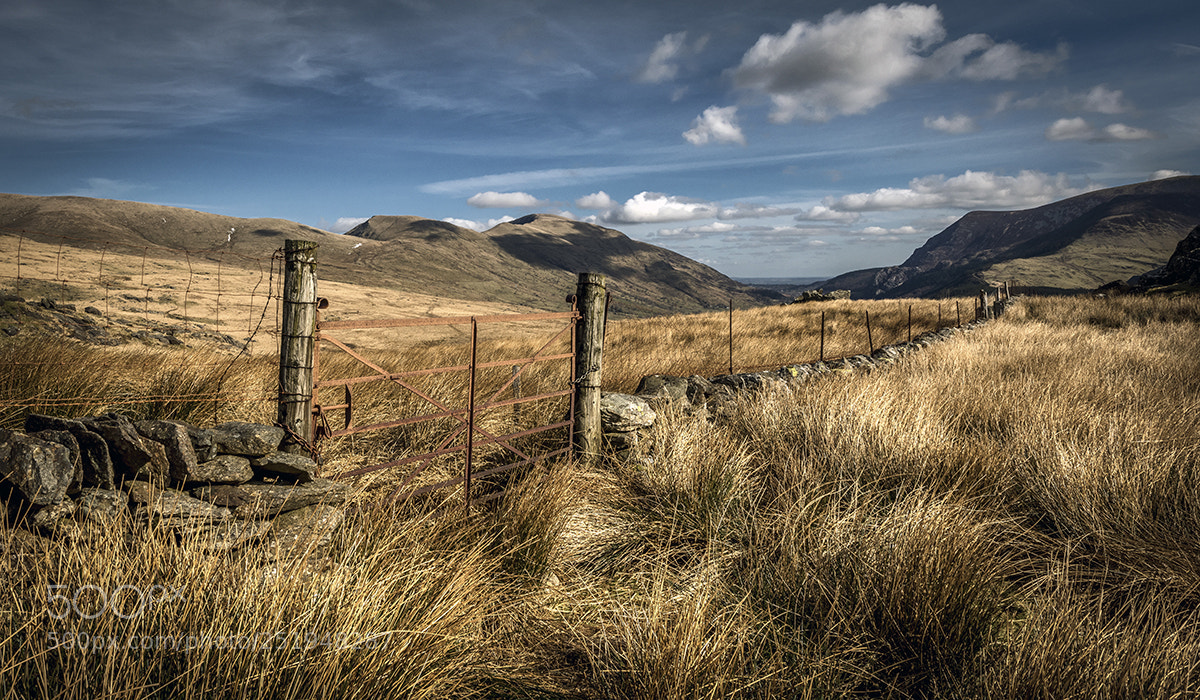 Nikon D810 sample photo. The old rusty gate photography