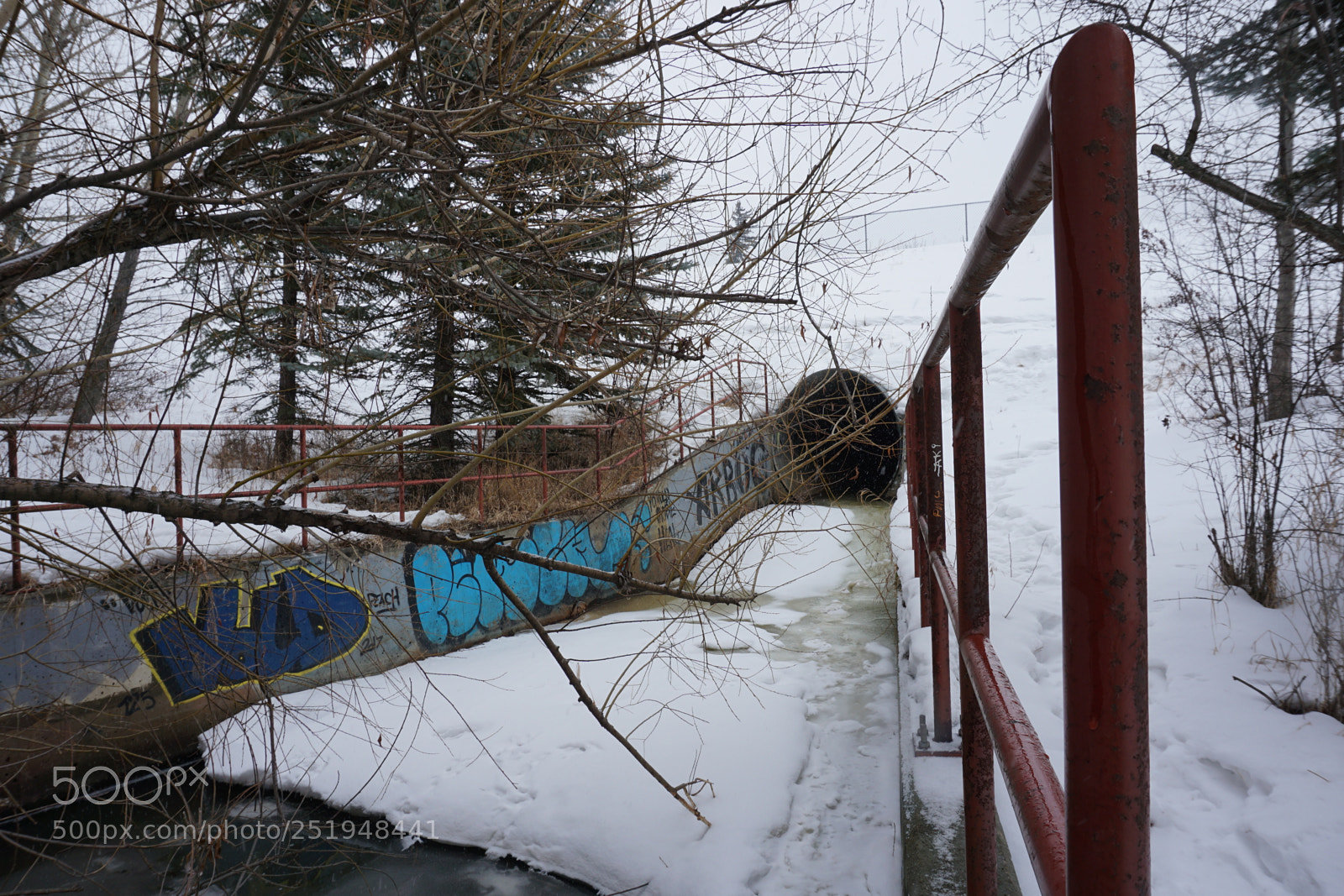 Sony a6000 sample photo. Dsc photography