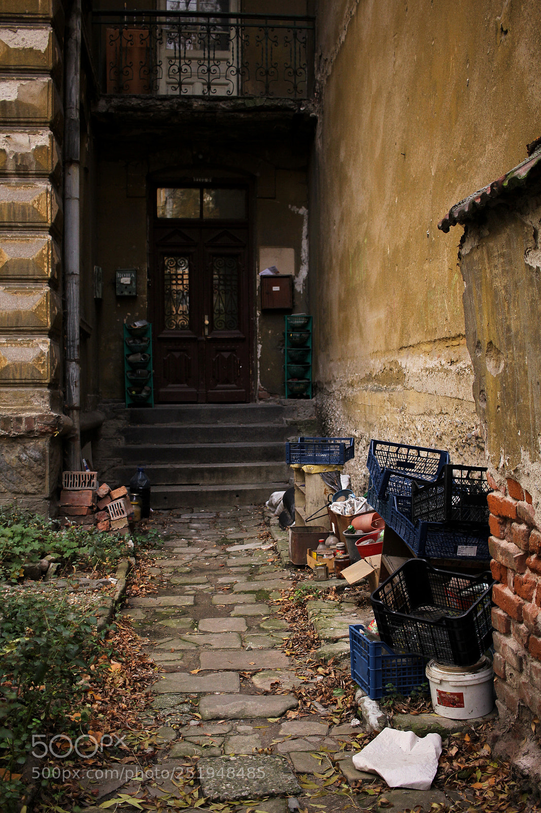 Canon EOS 600D (Rebel EOS T3i / EOS Kiss X5) sample photo. Untitled vol. next one photography