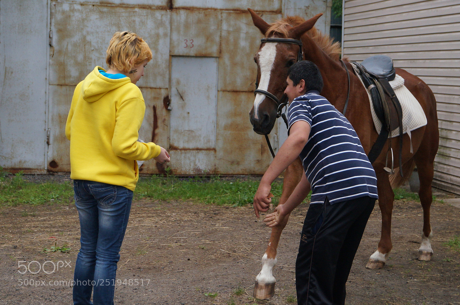 Sony SLT-A57 sample photo. Untitled photography