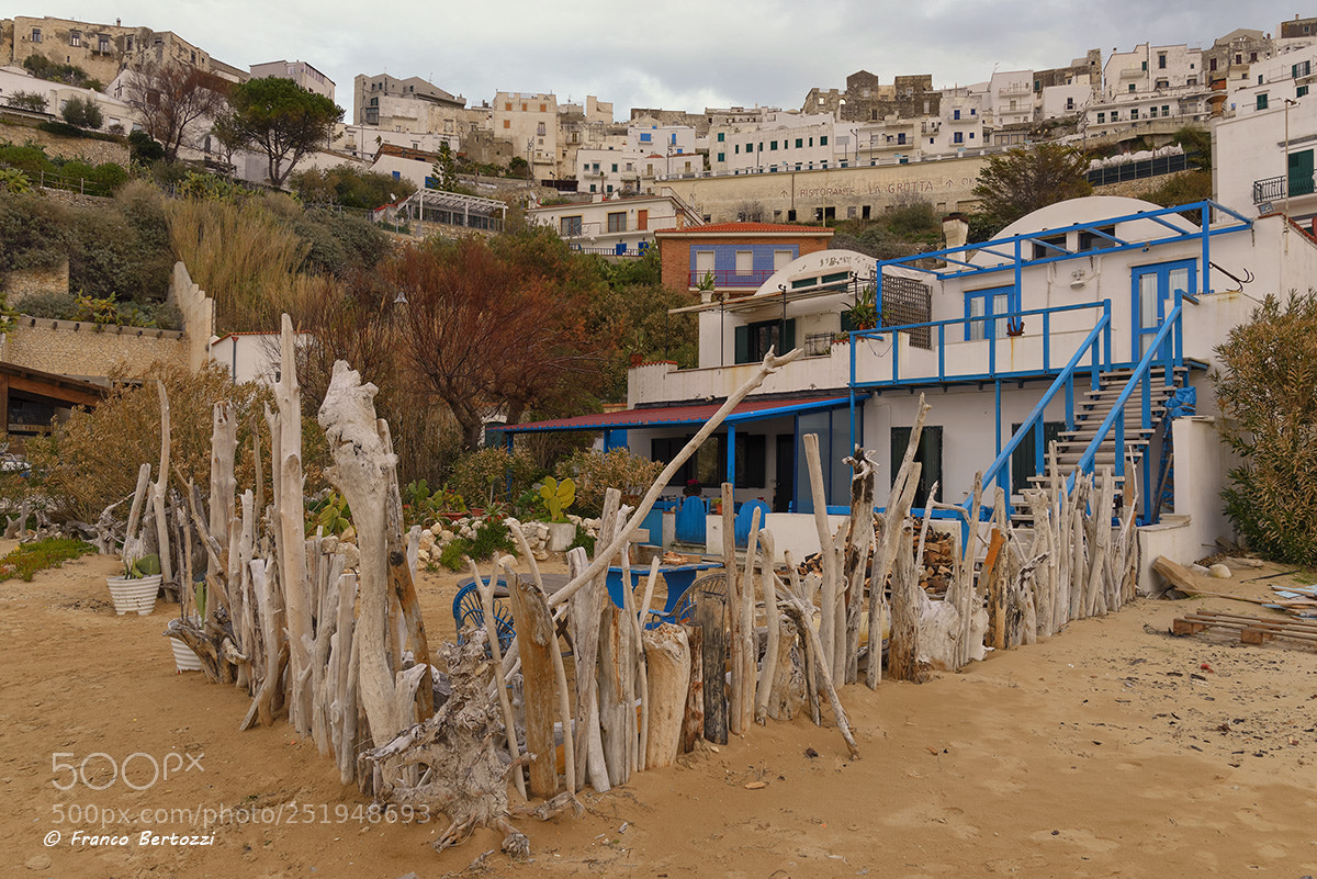 Nikon D610 sample photo. Peschici sea fence photography