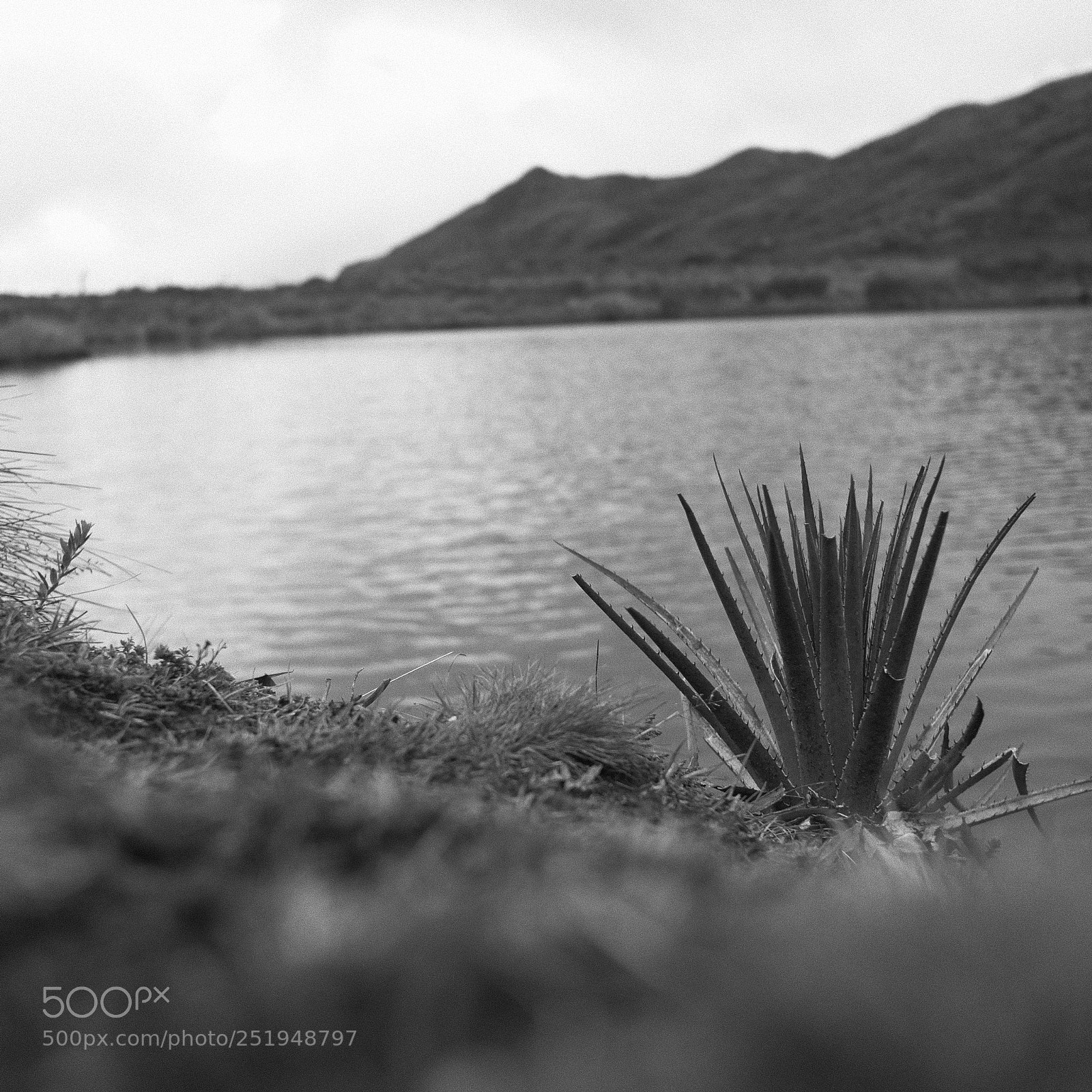 Fujifilm X-T20 sample photo. Photooftheday fujifilm fujifeed fujixt20 photography