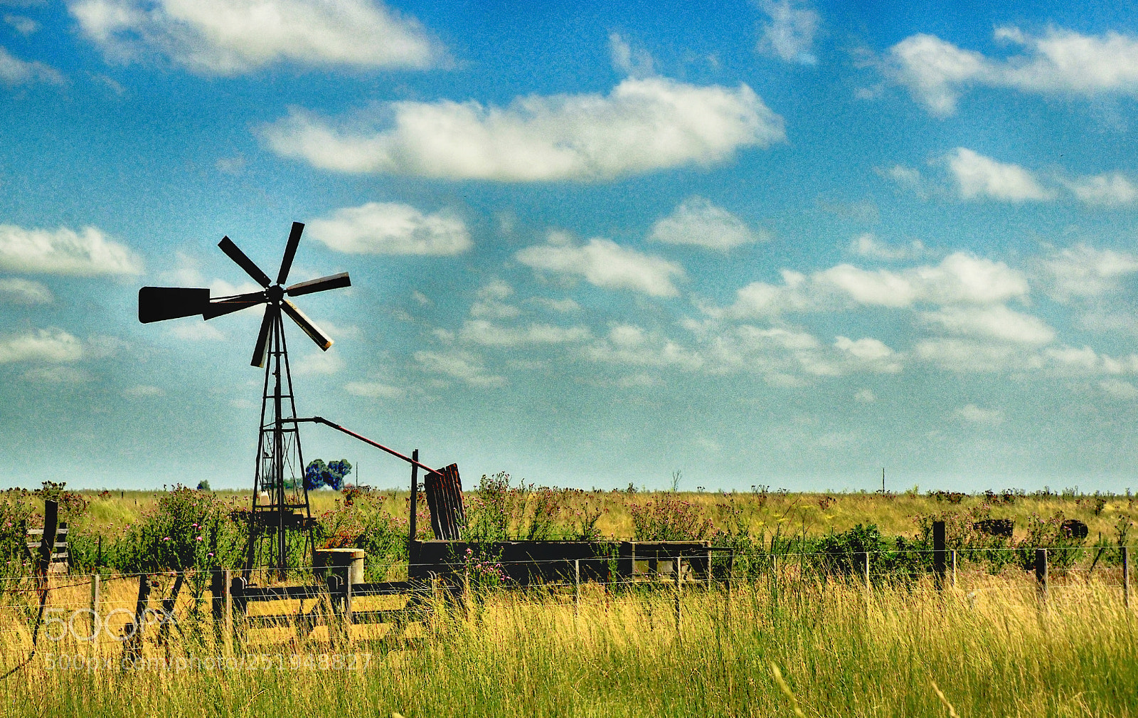 Nikon D90 sample photo. Pampean windmill photography
