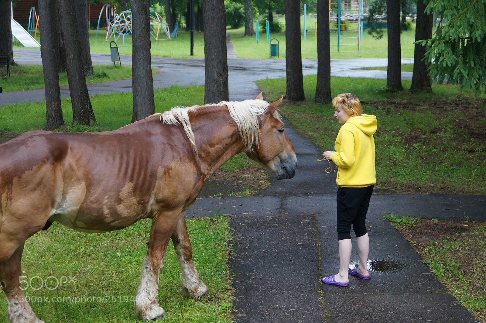 Sony SLT-A57 sample photo. Untitled photography
