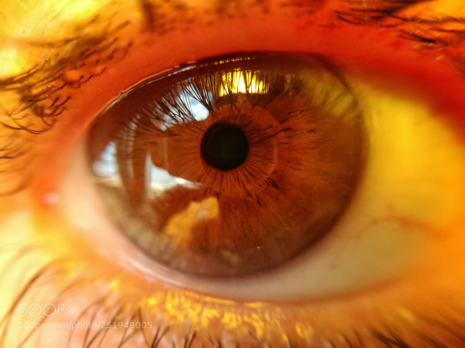 HUAWEI P9 LITE sample photo. Eye photography