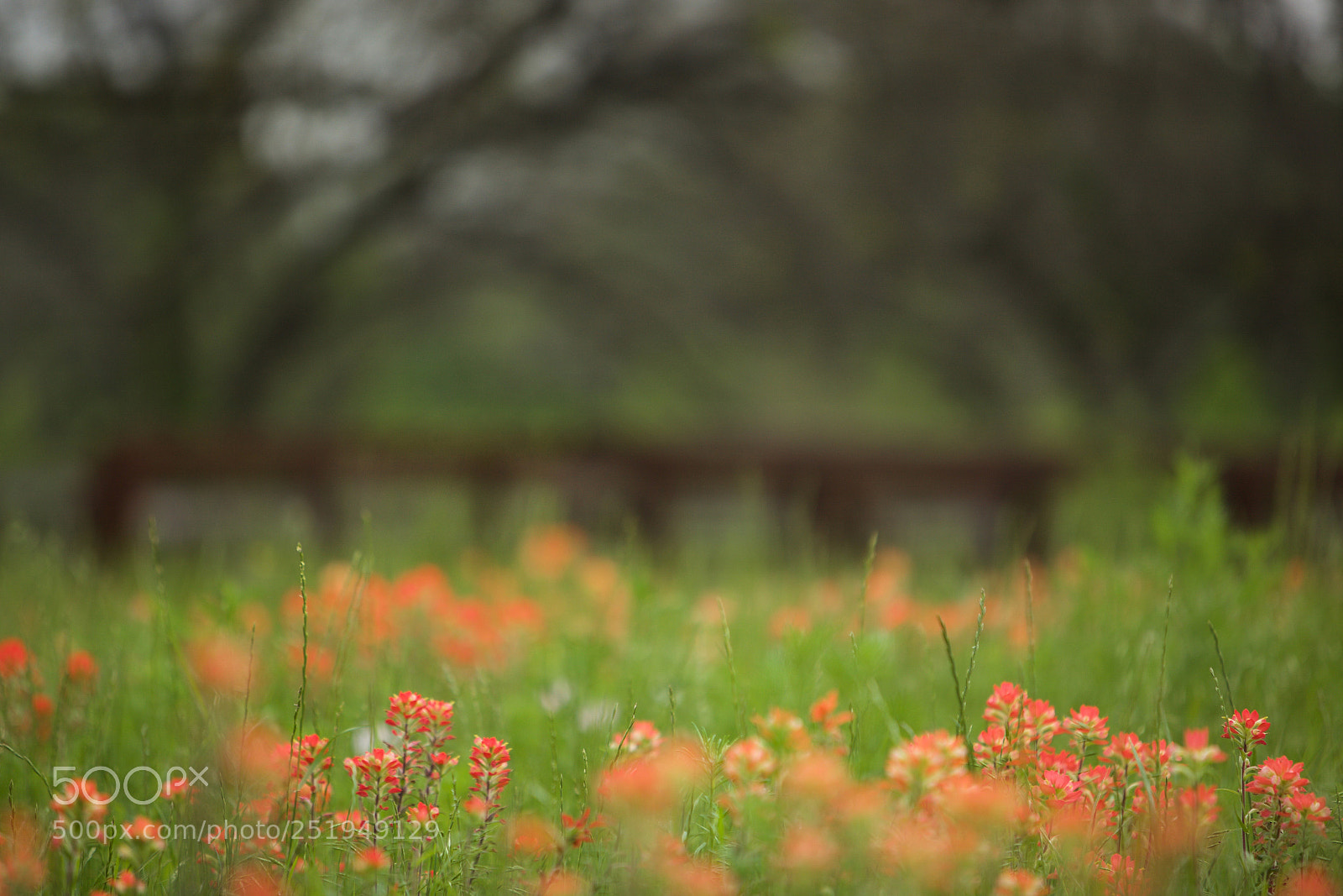 Canon EOS 5D Mark II sample photo. If you're gonna break photography