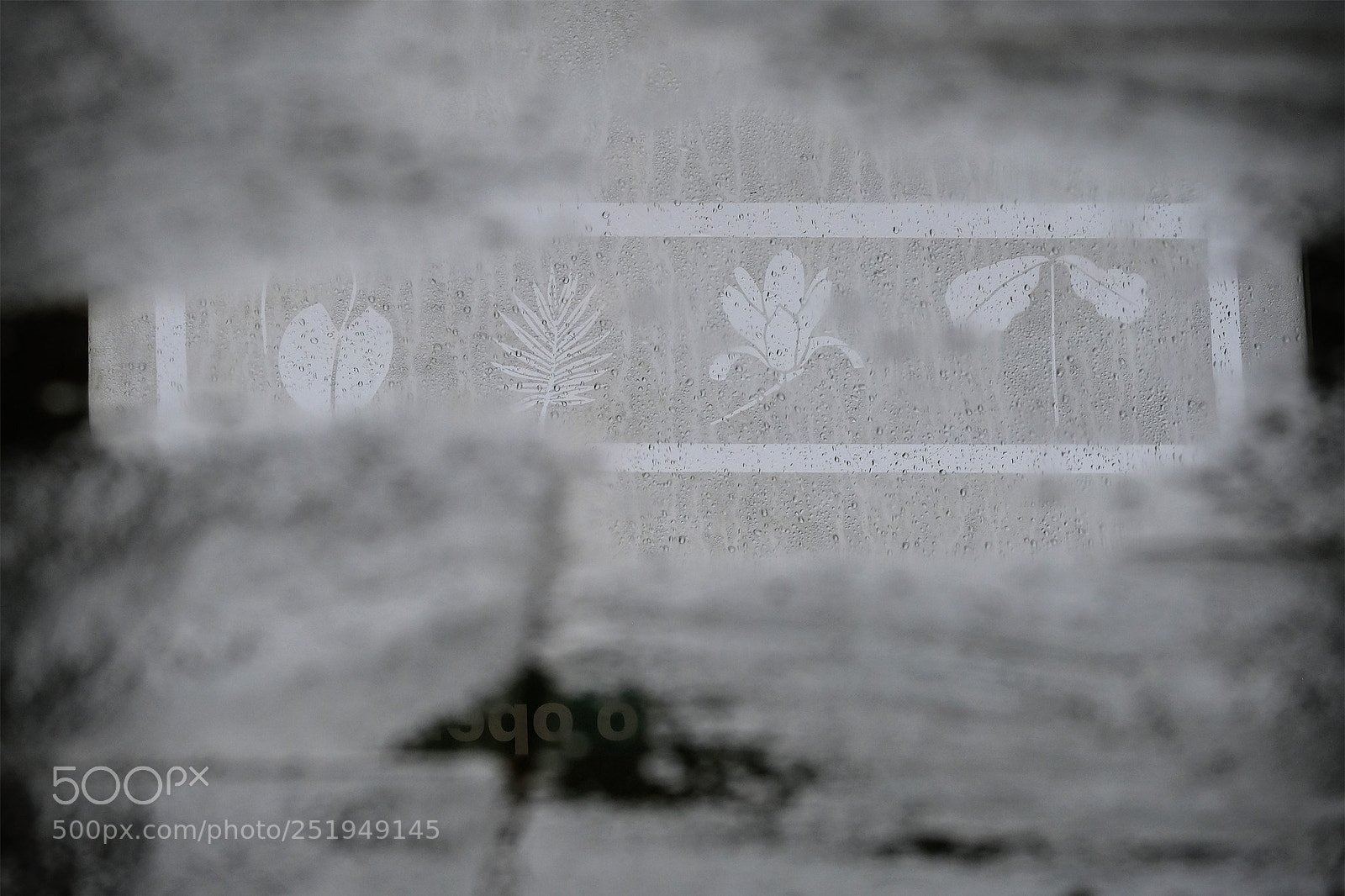 Fujifilm X-T2 sample photo. Raindrops on puddles photography