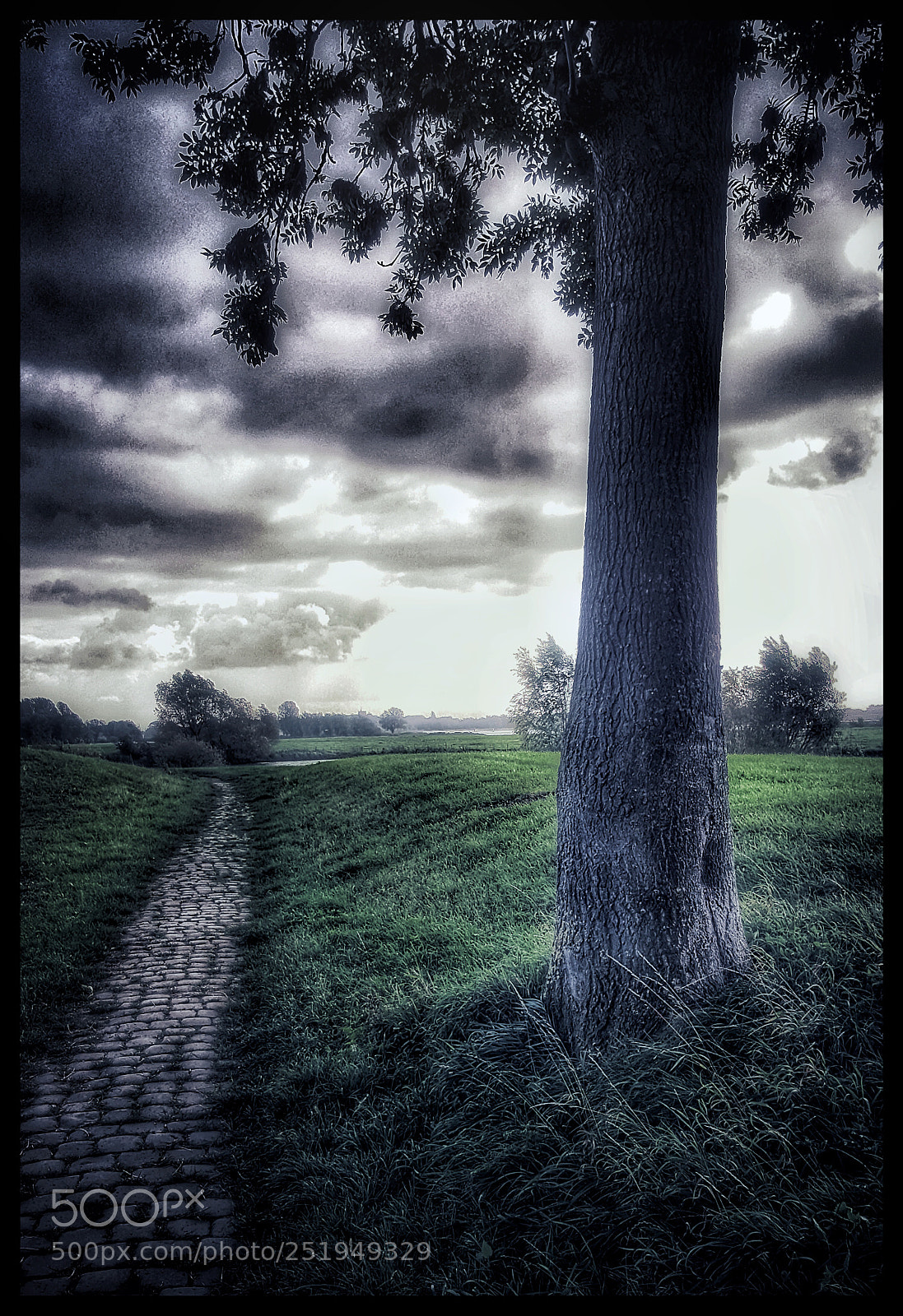 Samsung Galaxy S6 sample photo. Untitled photography