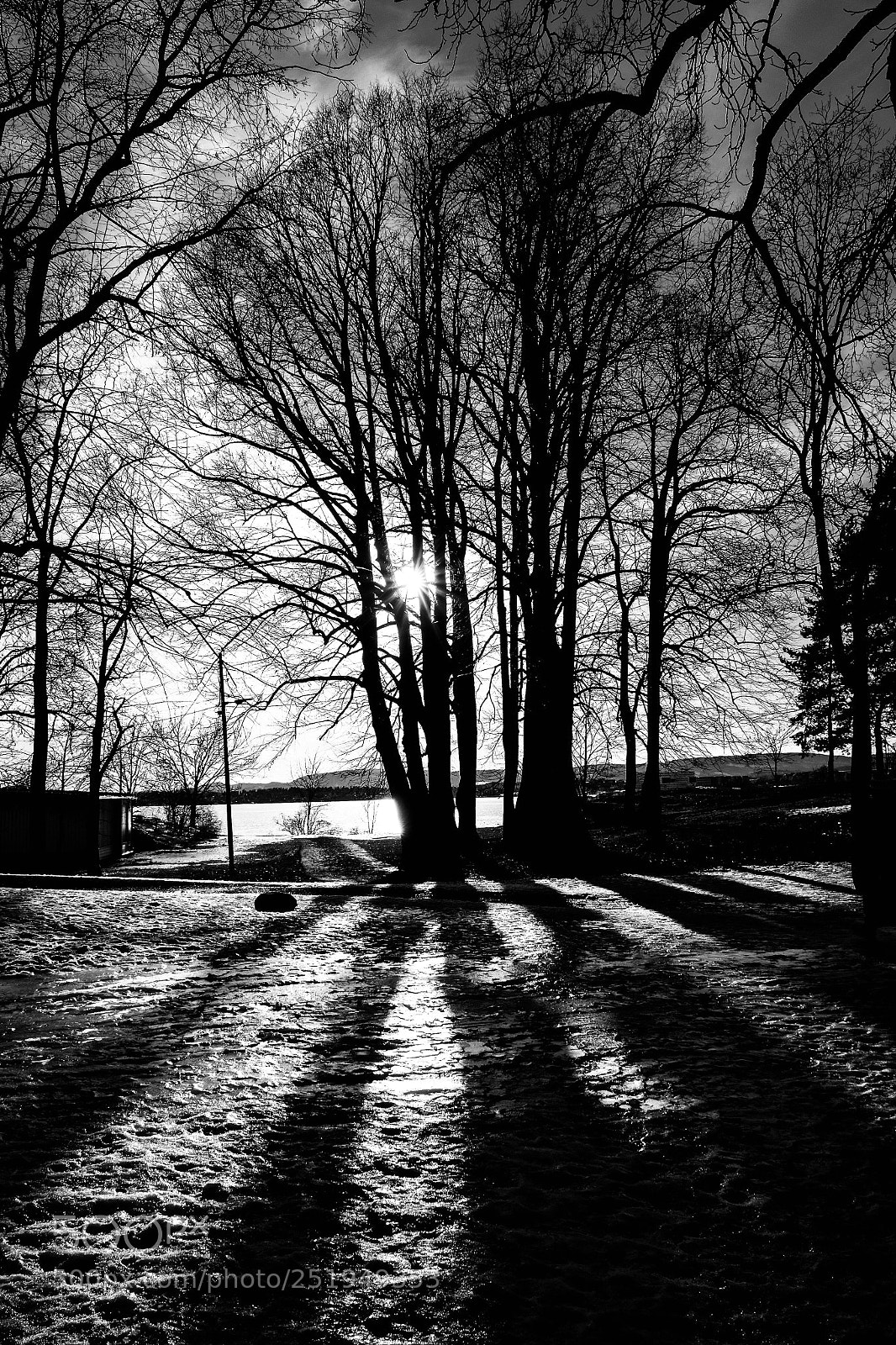 Fujifilm X70 sample photo. Sunset in black and photography