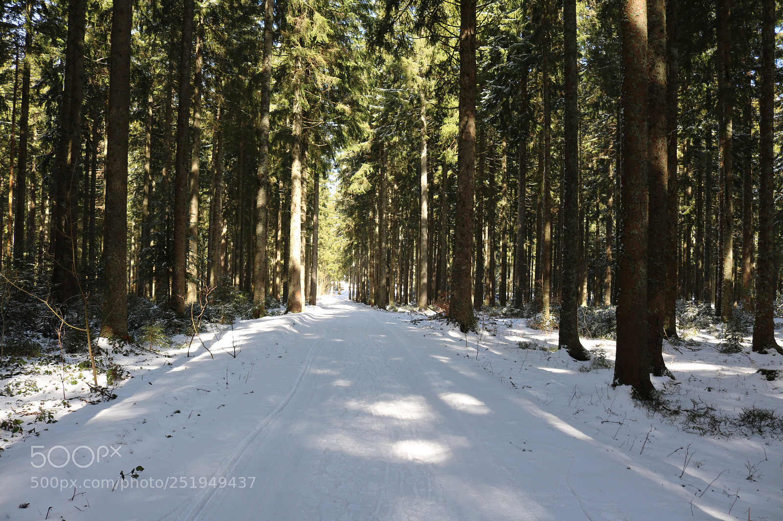 Canon EOS 750D (EOS Rebel T6i / EOS Kiss X8i) sample photo. Where is the spring?  photography
