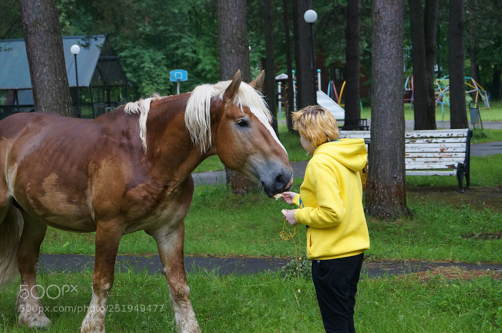 Sony SLT-A57 sample photo. Untitled photography
