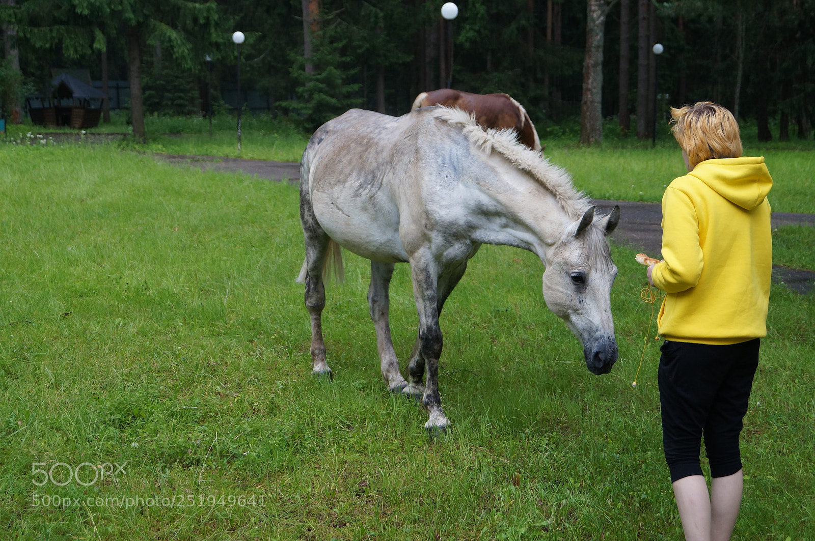 Sony SLT-A57 sample photo. Untitled photography