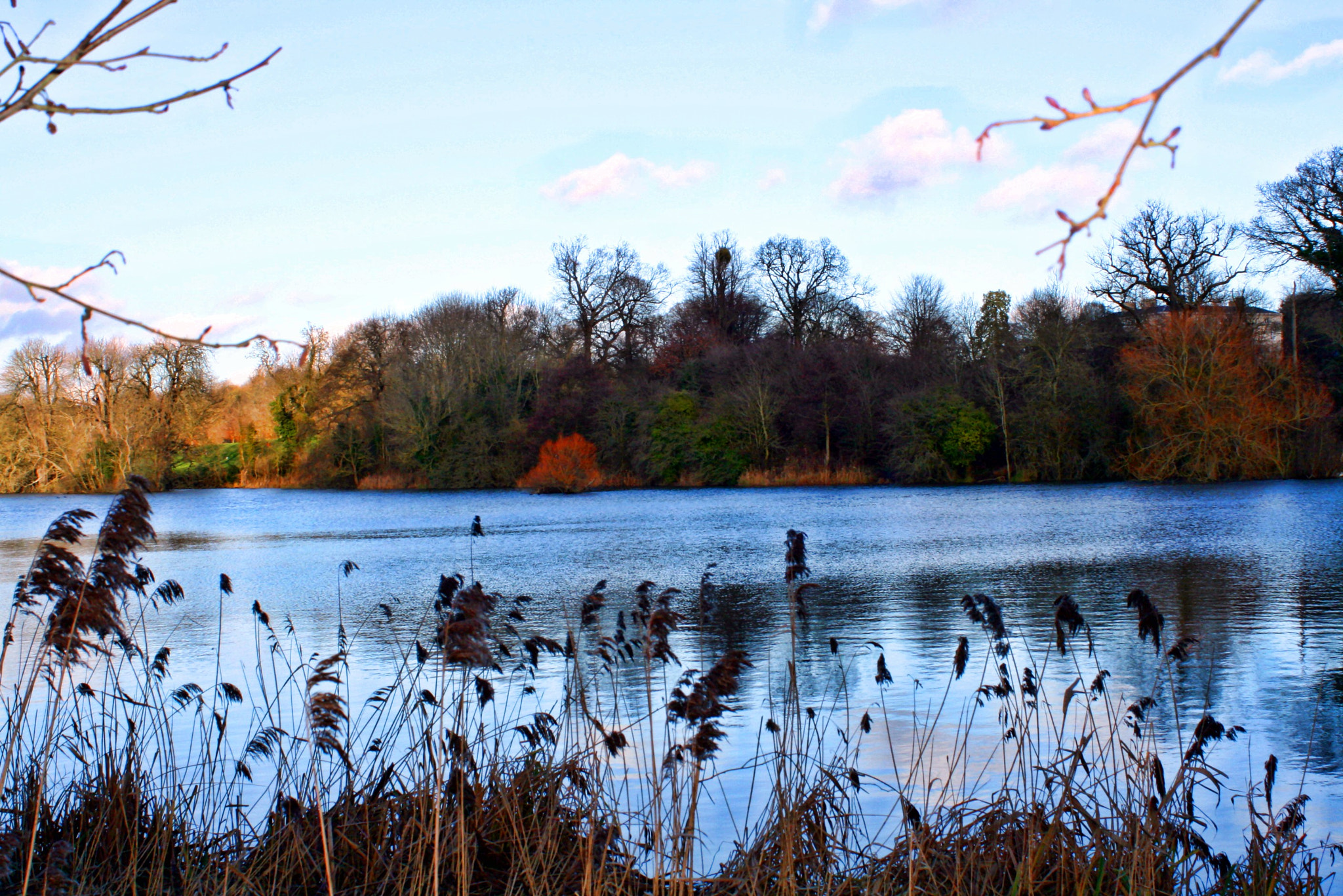 Canon EF 28-80mm f/3.5-5.6 sample photo. Img photography