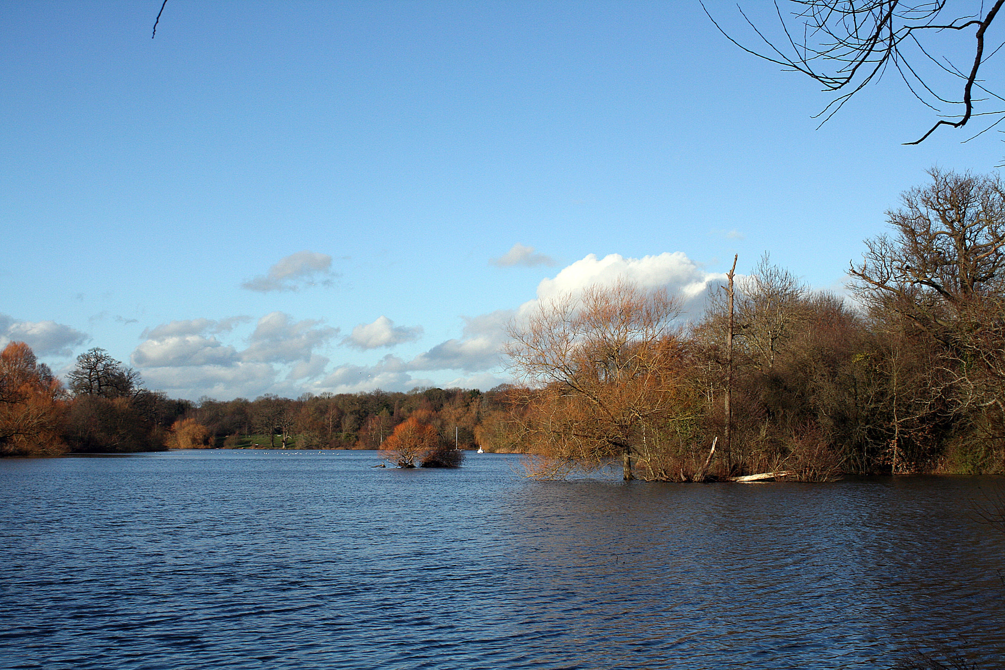 Canon EF 28-80mm f/3.5-5.6 sample photo. Mote park photography