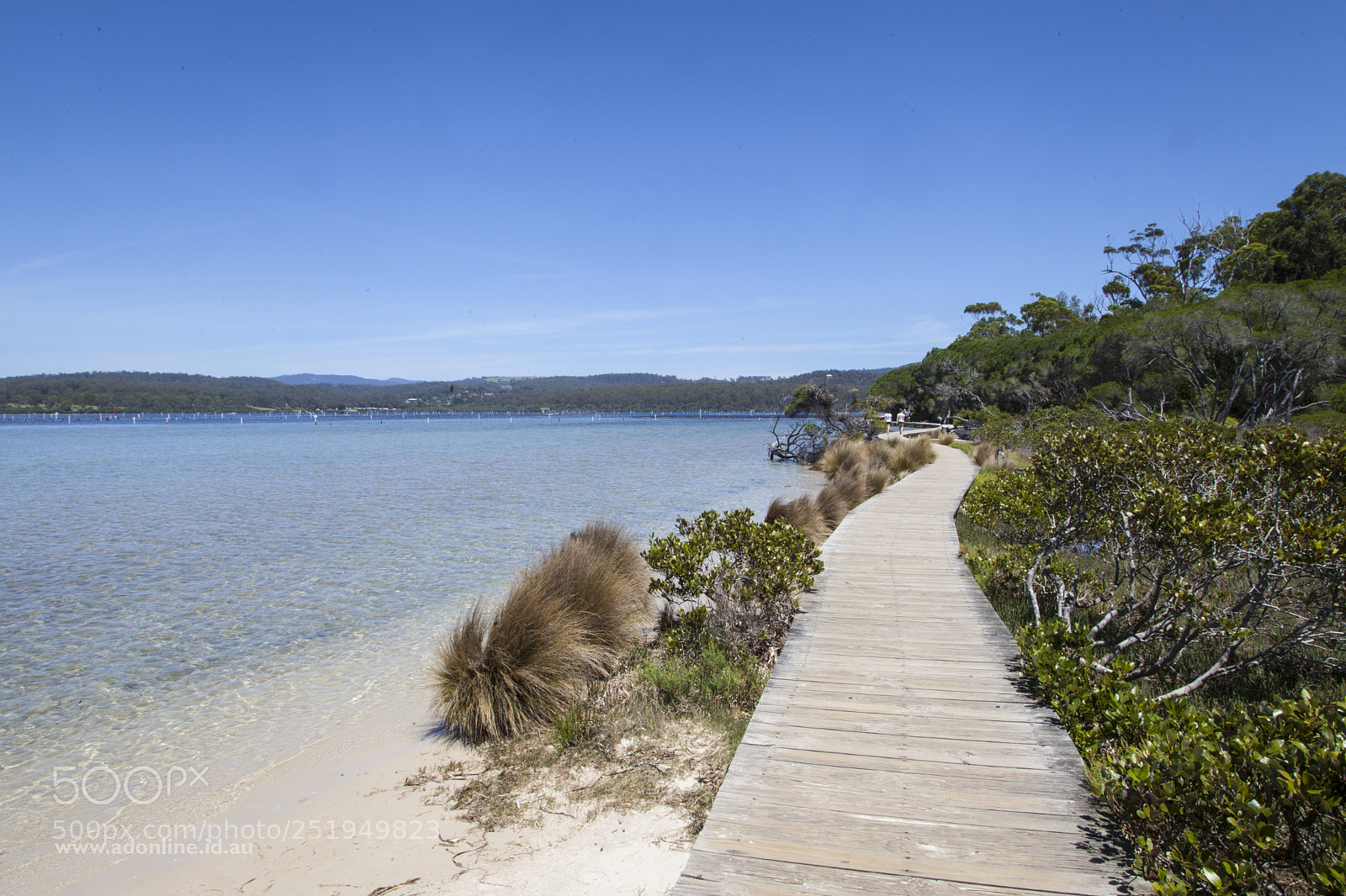 Canon EOS 5D Mark II sample photo. Merimbula board walk photography
