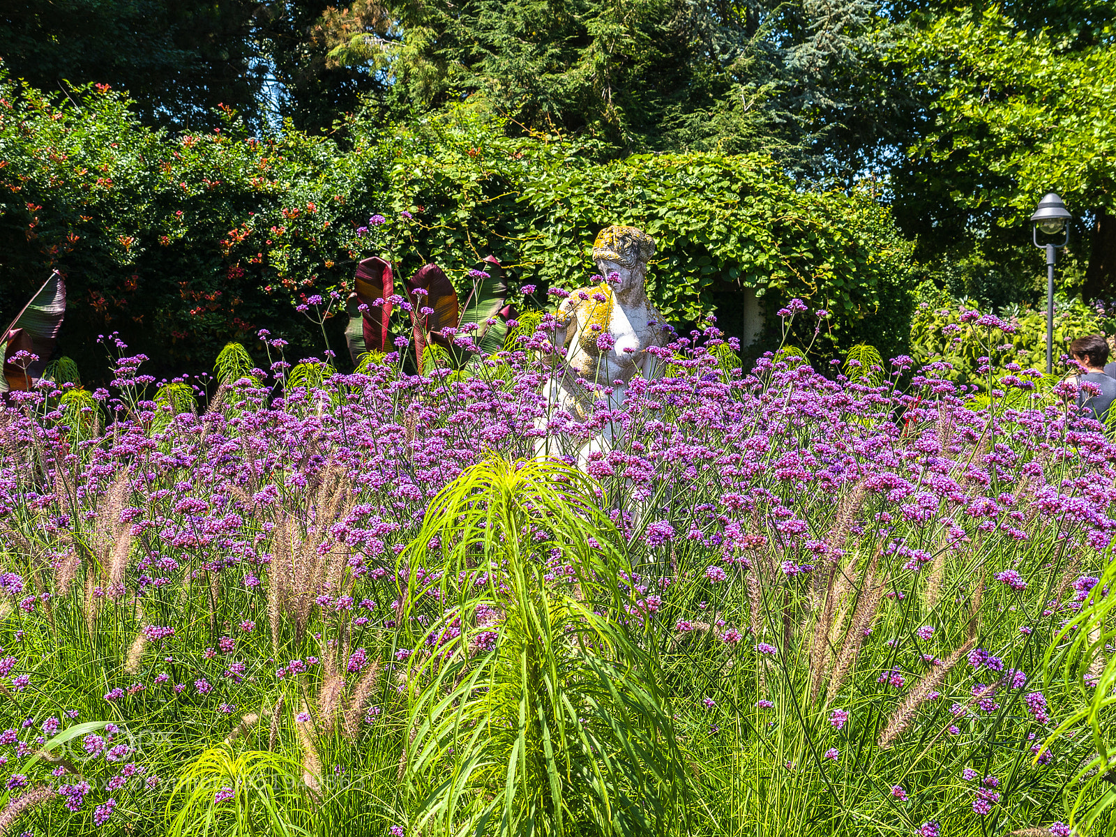 Panasonic Lumix DMC-G5 sample photo. Dehner blumenpark photography