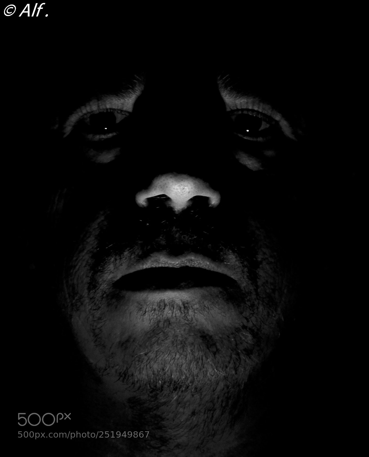 Nikon D5100 sample photo. Oscuro photography