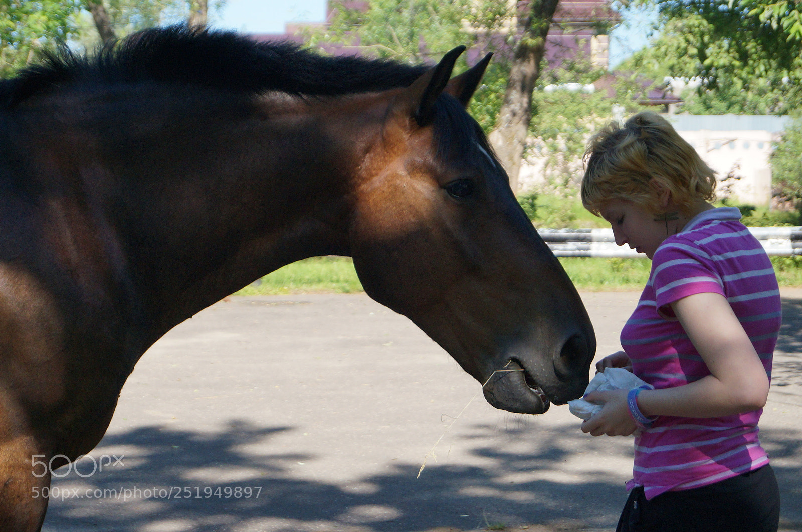 Sony SLT-A57 sample photo. Untitled photography