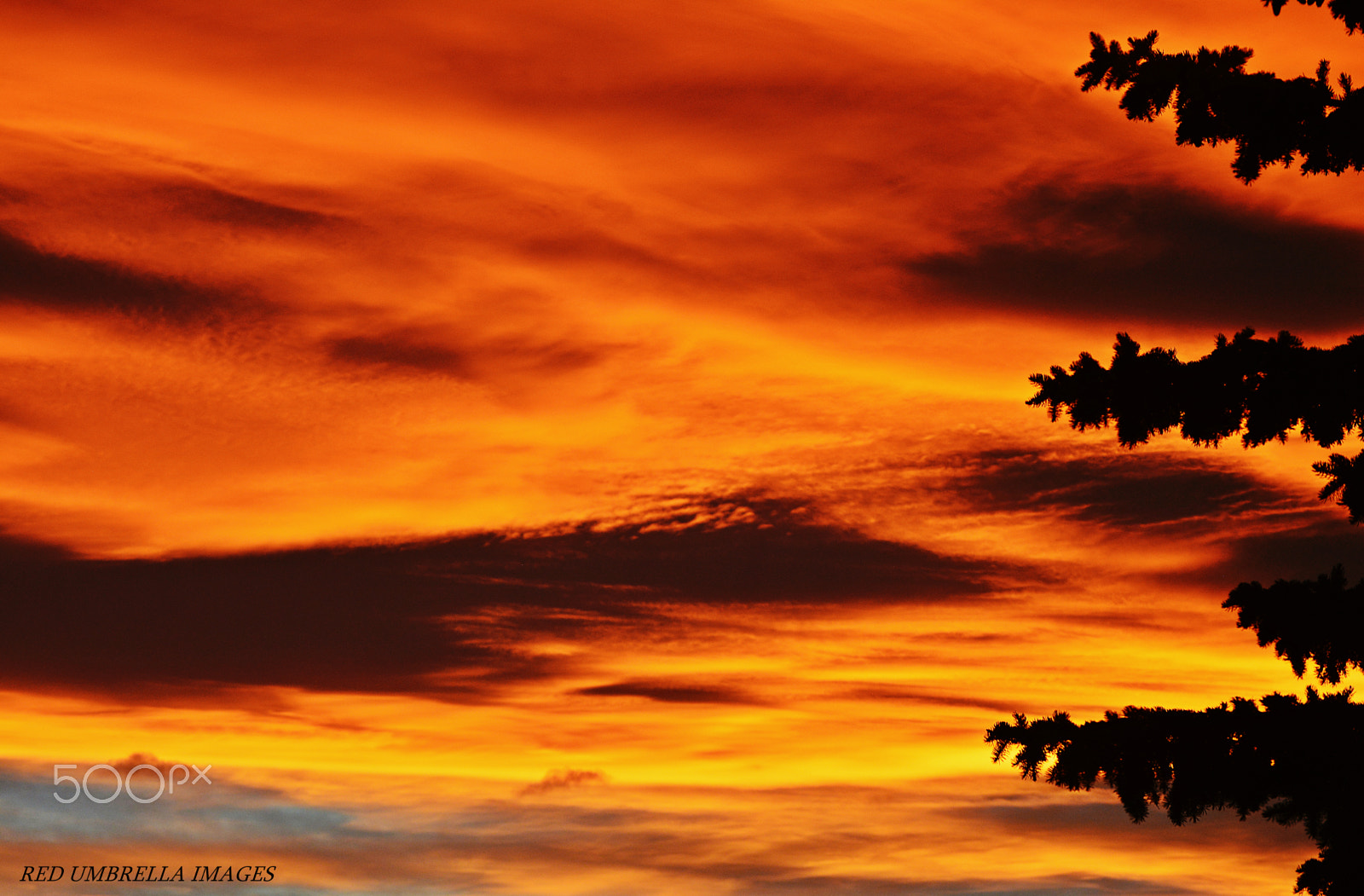 Nikon D5200 sample photo. Sunset muse photography