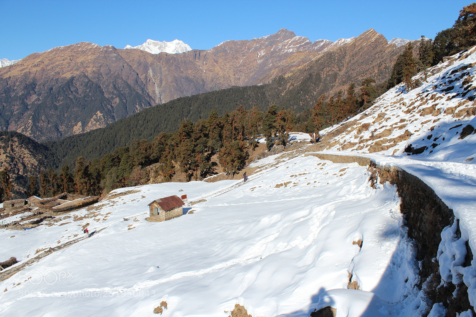 Canon EOS 600D (Rebel EOS T3i / EOS Kiss X5) sample photo. Chopta photography