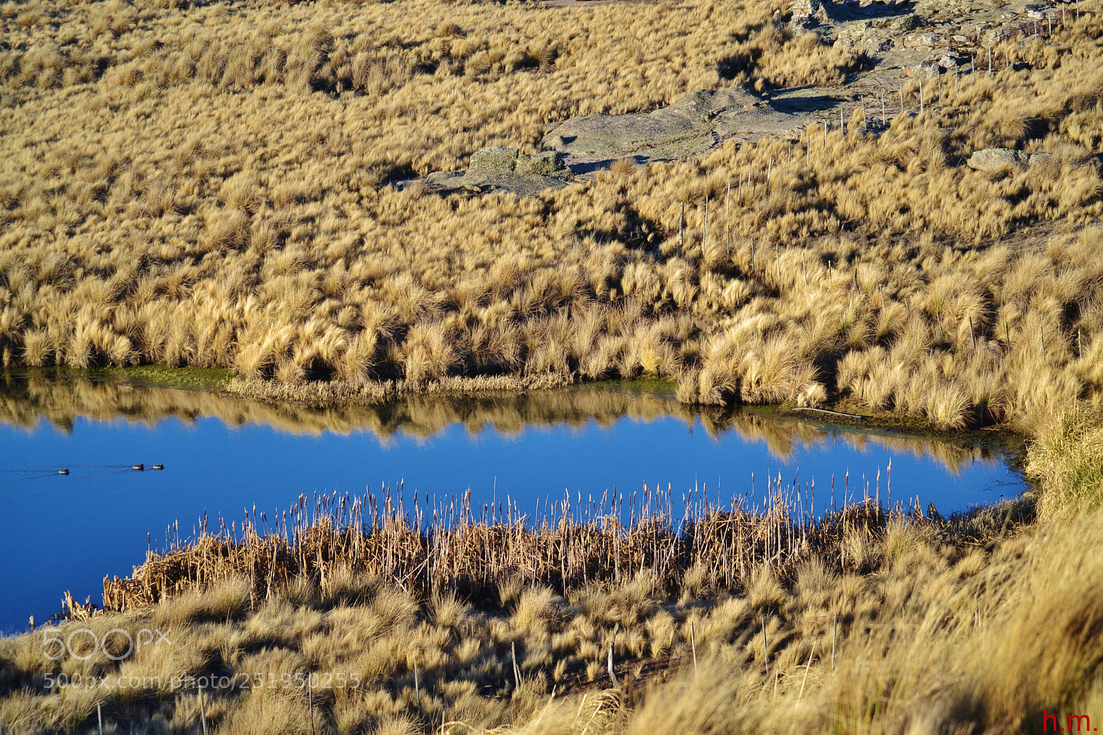 Nikon D3100 sample photo. Abdbd o () photography