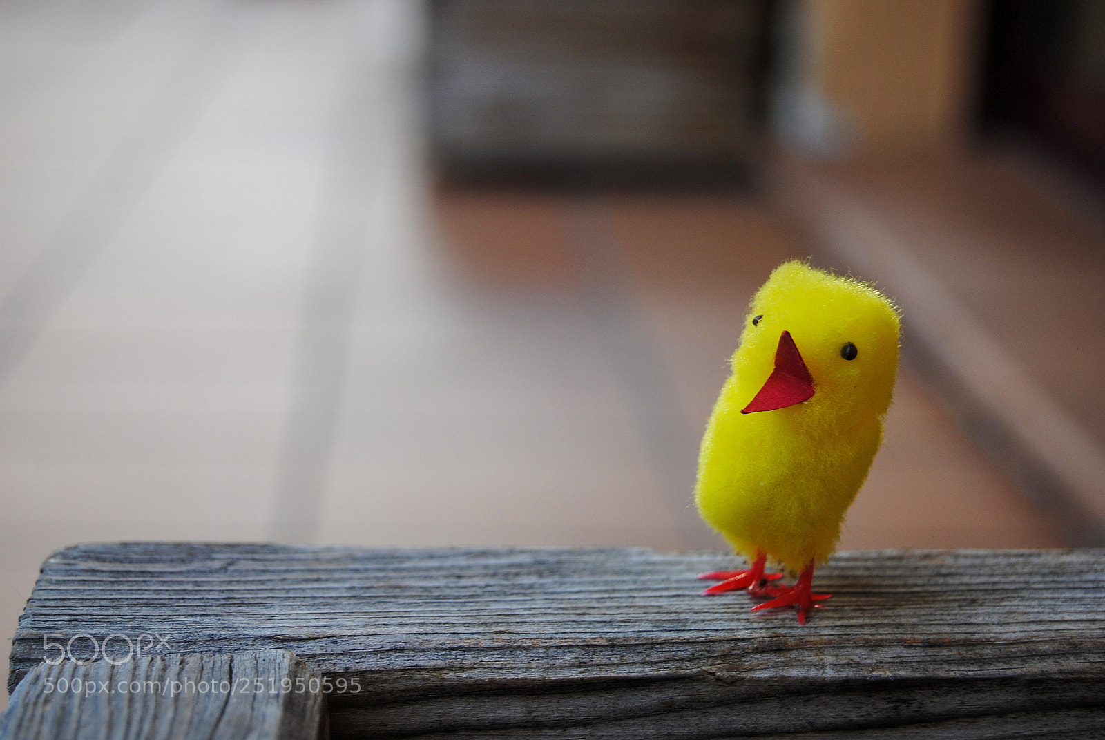 Nikon D3000 sample photo. Easter chick photography