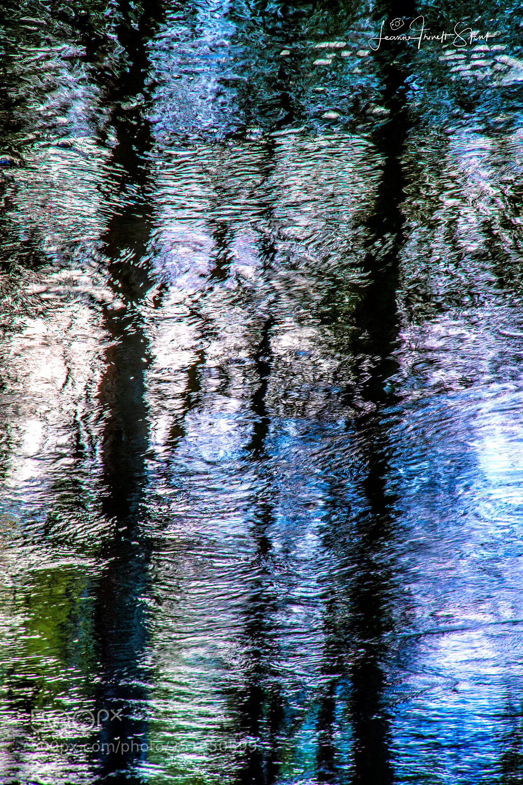 Canon EOS-1D X Mark II sample photo. Untitled photography