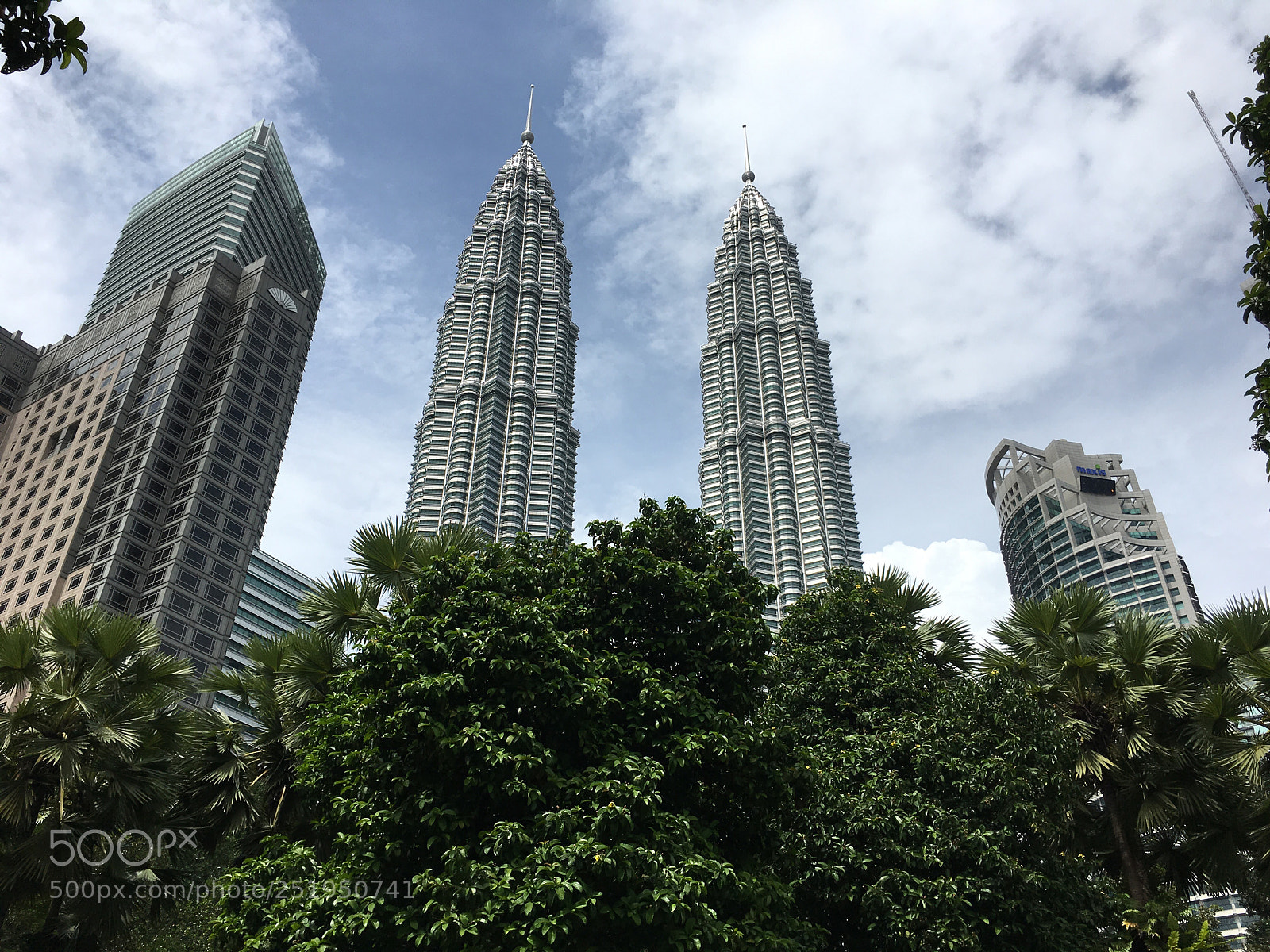 Apple iPhone 6s sample photo. Way up photography