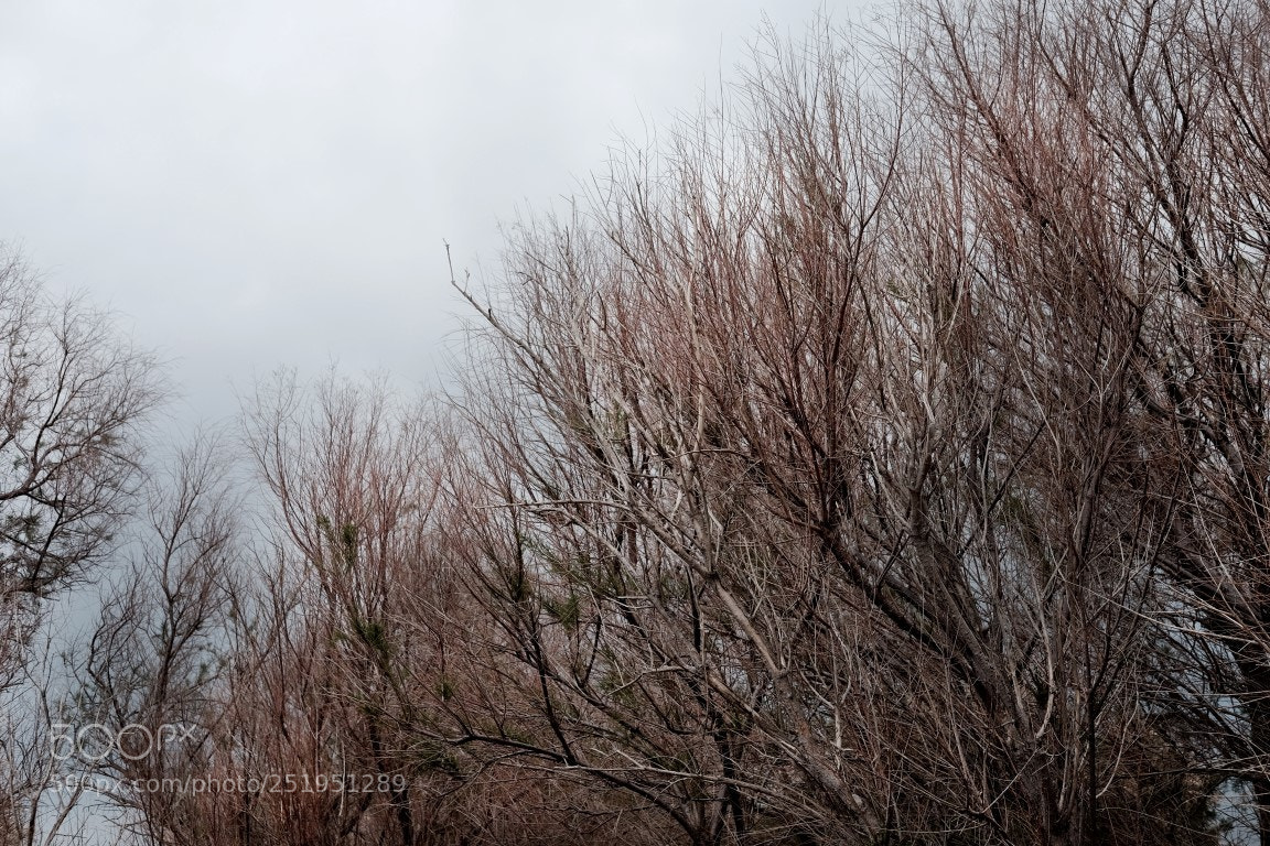 Fujifilm X-T1 sample photo. Mood.. photography