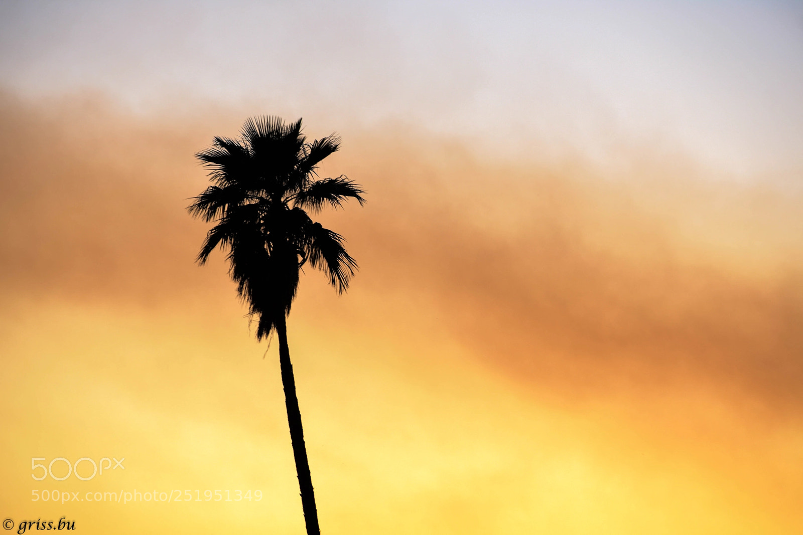 Nikon D3400 sample photo. "colores de mi cielo.... photography