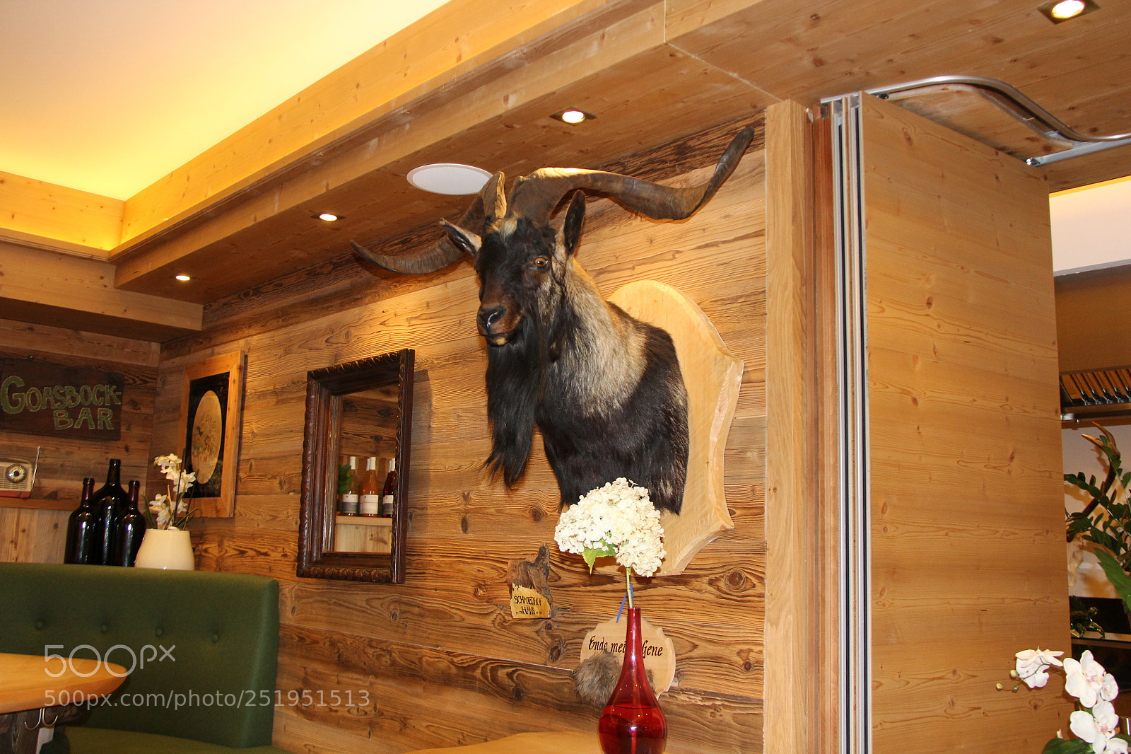 Canon EF-S 18-200mm F3.5-5.6 IS sample photo. Img photography