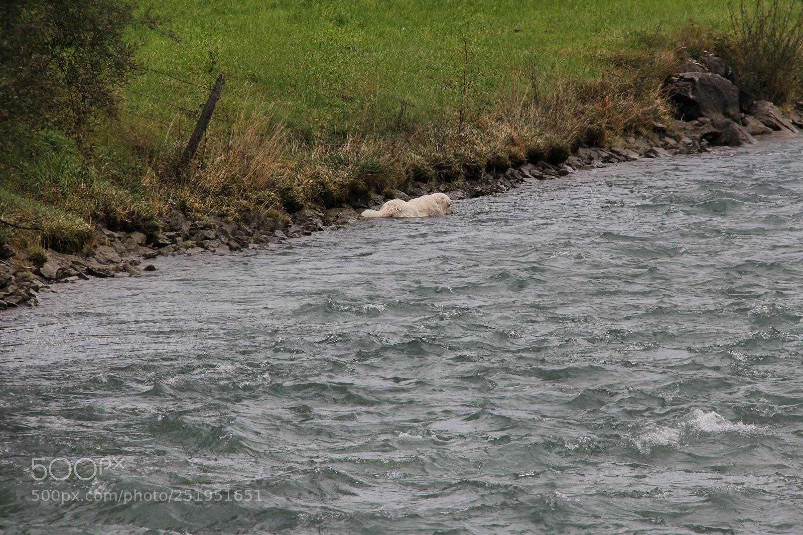 Canon EF-S 18-200mm F3.5-5.6 IS sample photo. Img photography