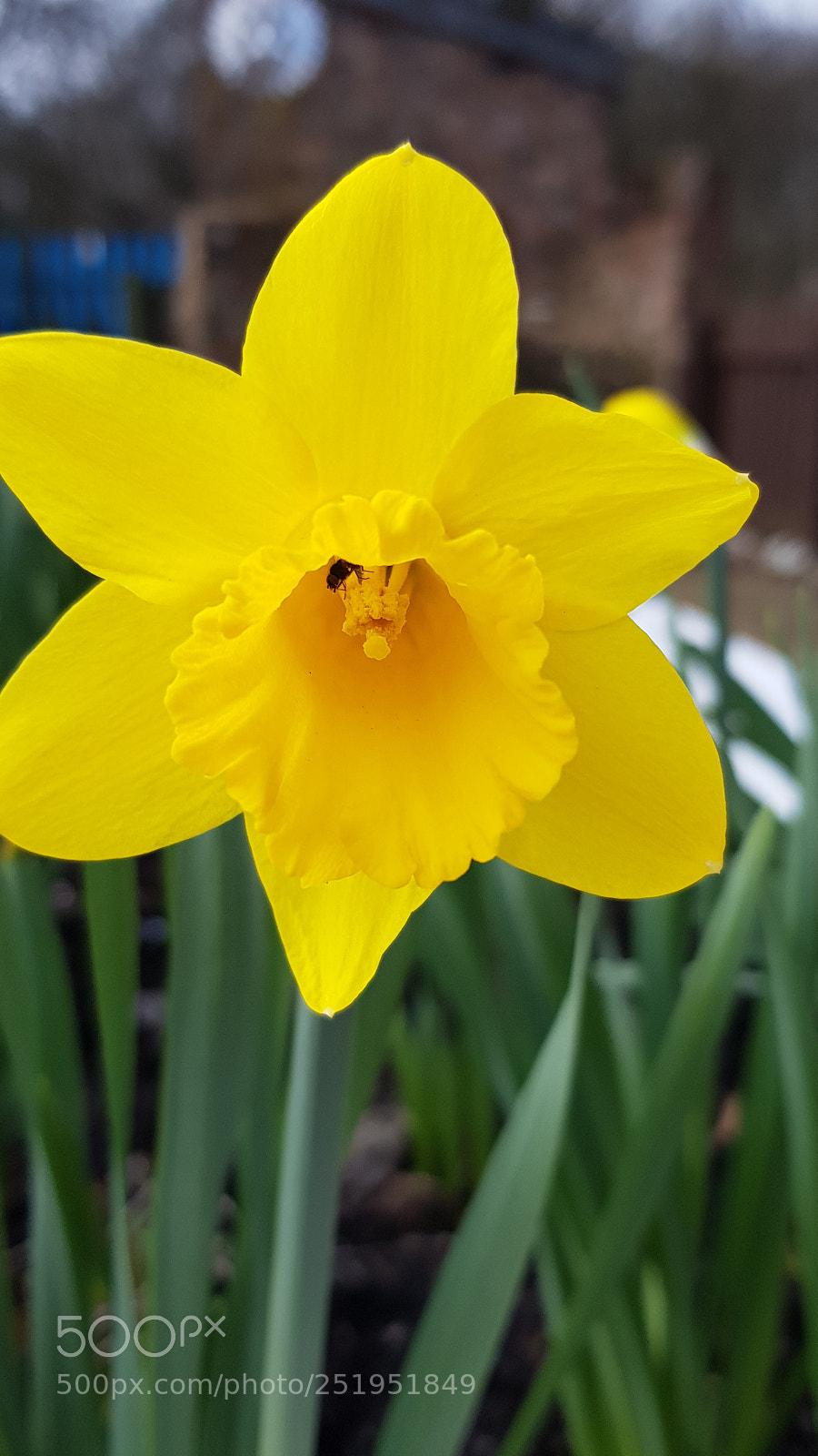 Samsung Galaxy S8 sample photo. Untitled photography