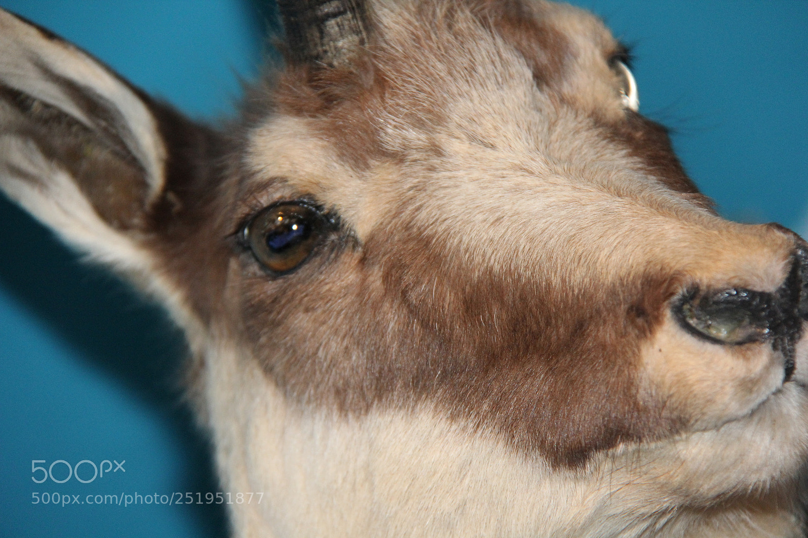 Canon EF-S 18-200mm F3.5-5.6 IS sample photo. Img photography