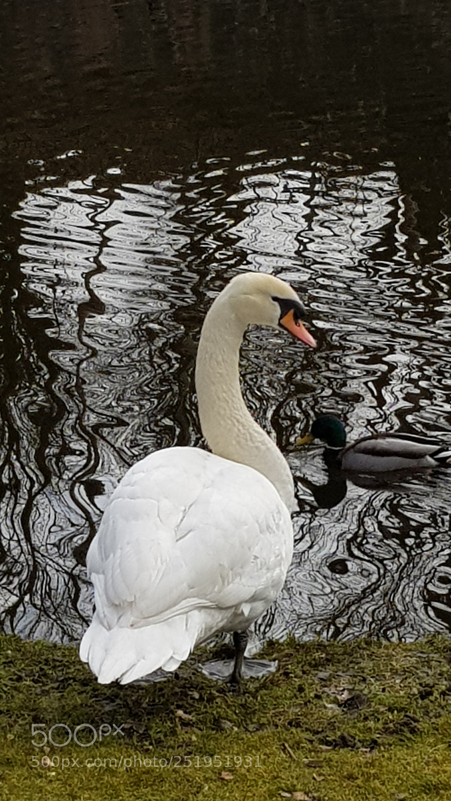 Samsung Galaxy S8 sample photo. Untitled photography