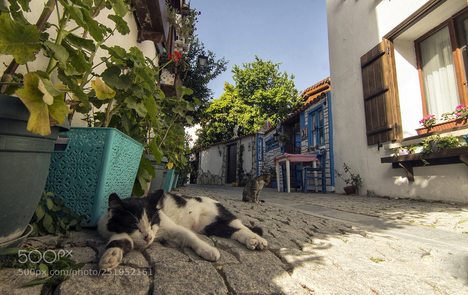 Canon EOS 600D (Rebel EOS T3i / EOS Kiss X5) sample photo. Streets photography