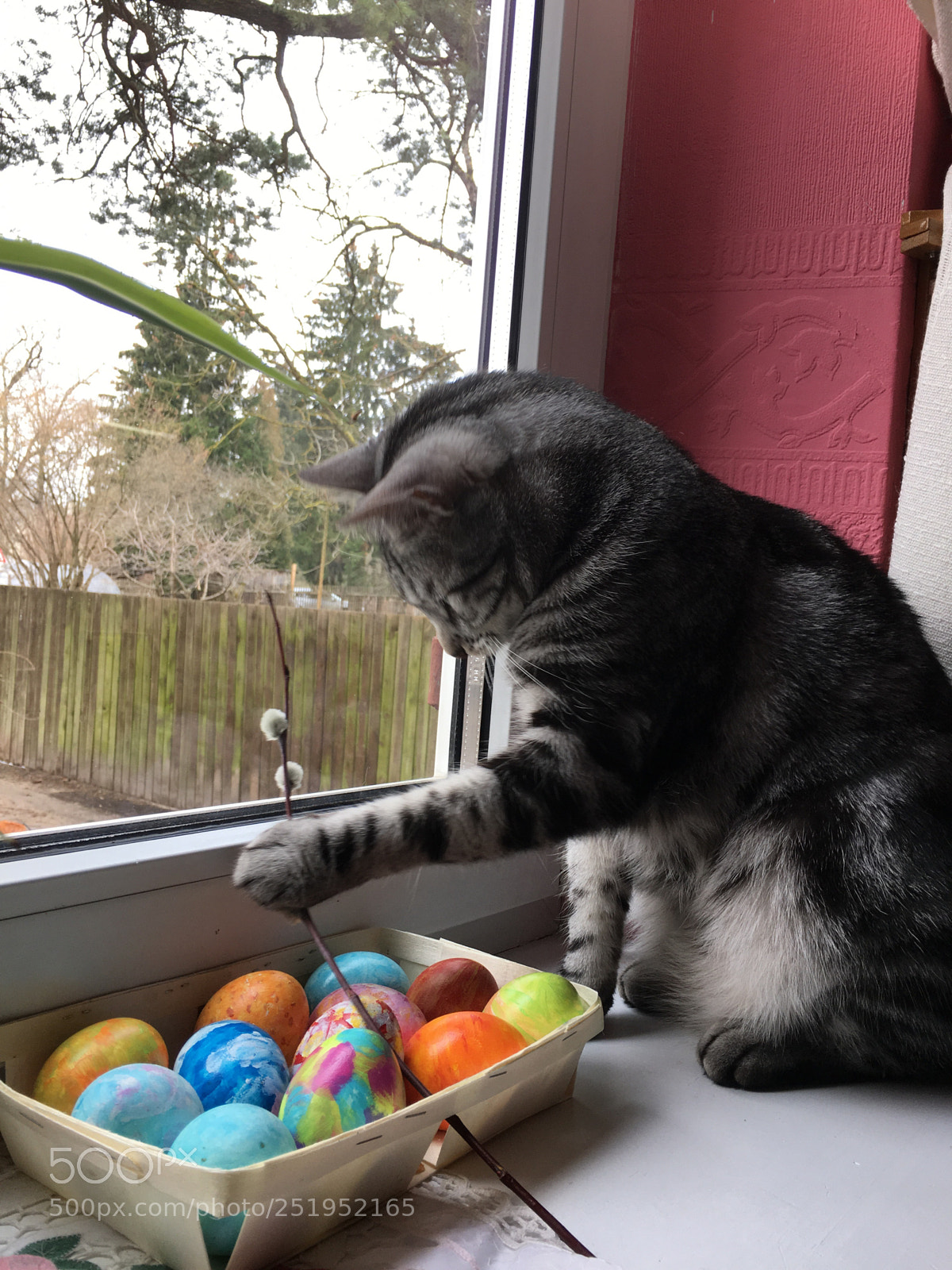 Apple iPhone 6s Plus sample photo. Happy easter.  photography