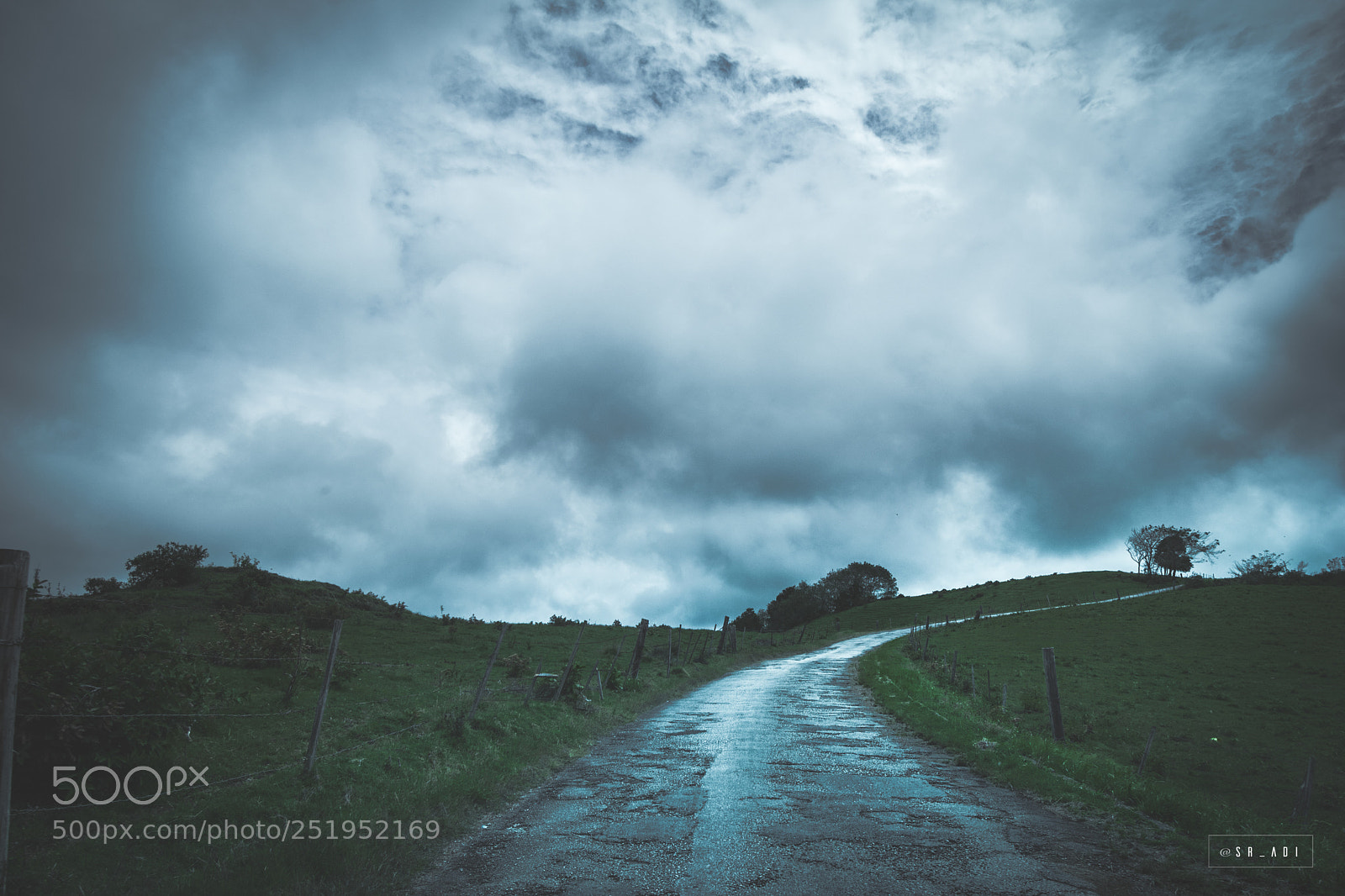 Nikon D5300 sample photo. The pathway photography