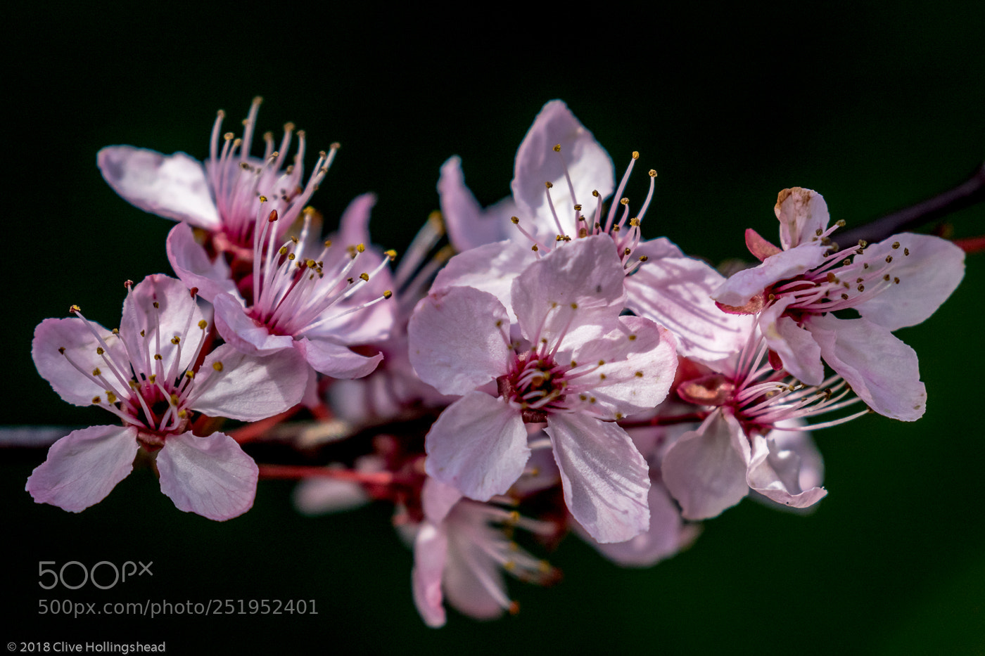 Canon EOS 7D Mark II sample photo. A sense of spring photography