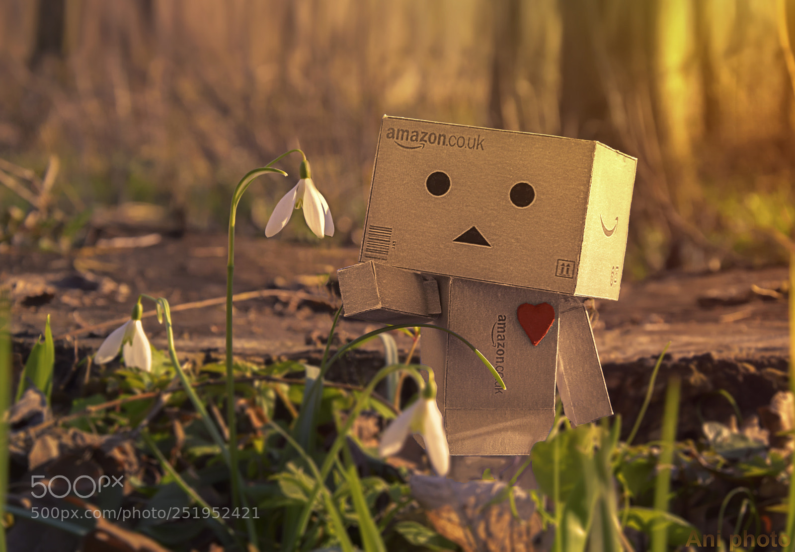 Nikon D5300 sample photo. Danbo photography
