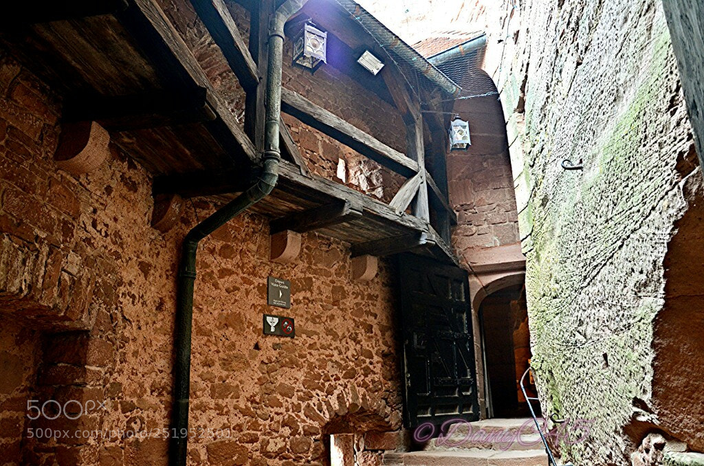 Nikon D5100 sample photo. Alsace (28) photography