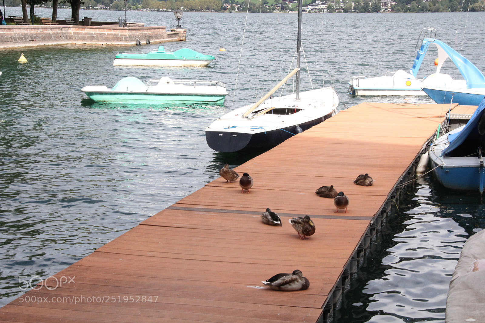 Canon EF-S 18-200mm F3.5-5.6 IS sample photo. Img photography
