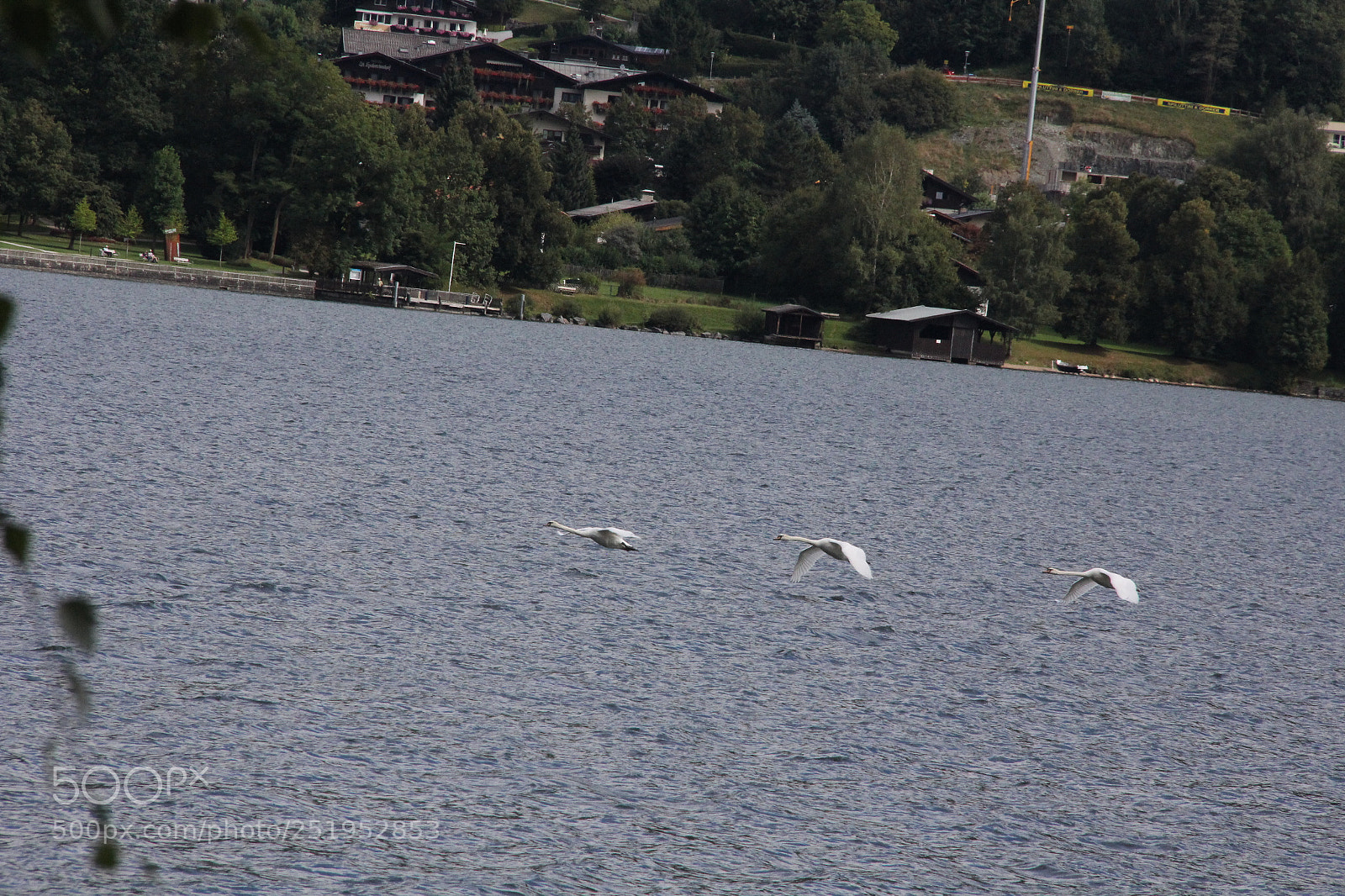 Canon EF-S 18-200mm F3.5-5.6 IS sample photo. Img photography