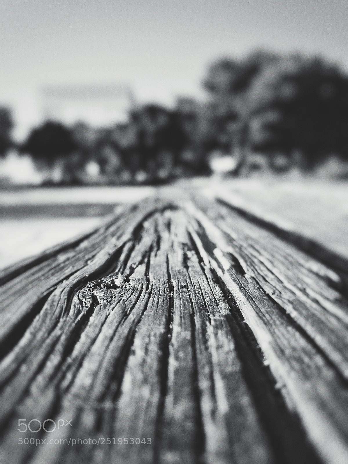 Samsung Galaxy J5 sample photo. Untitled photography