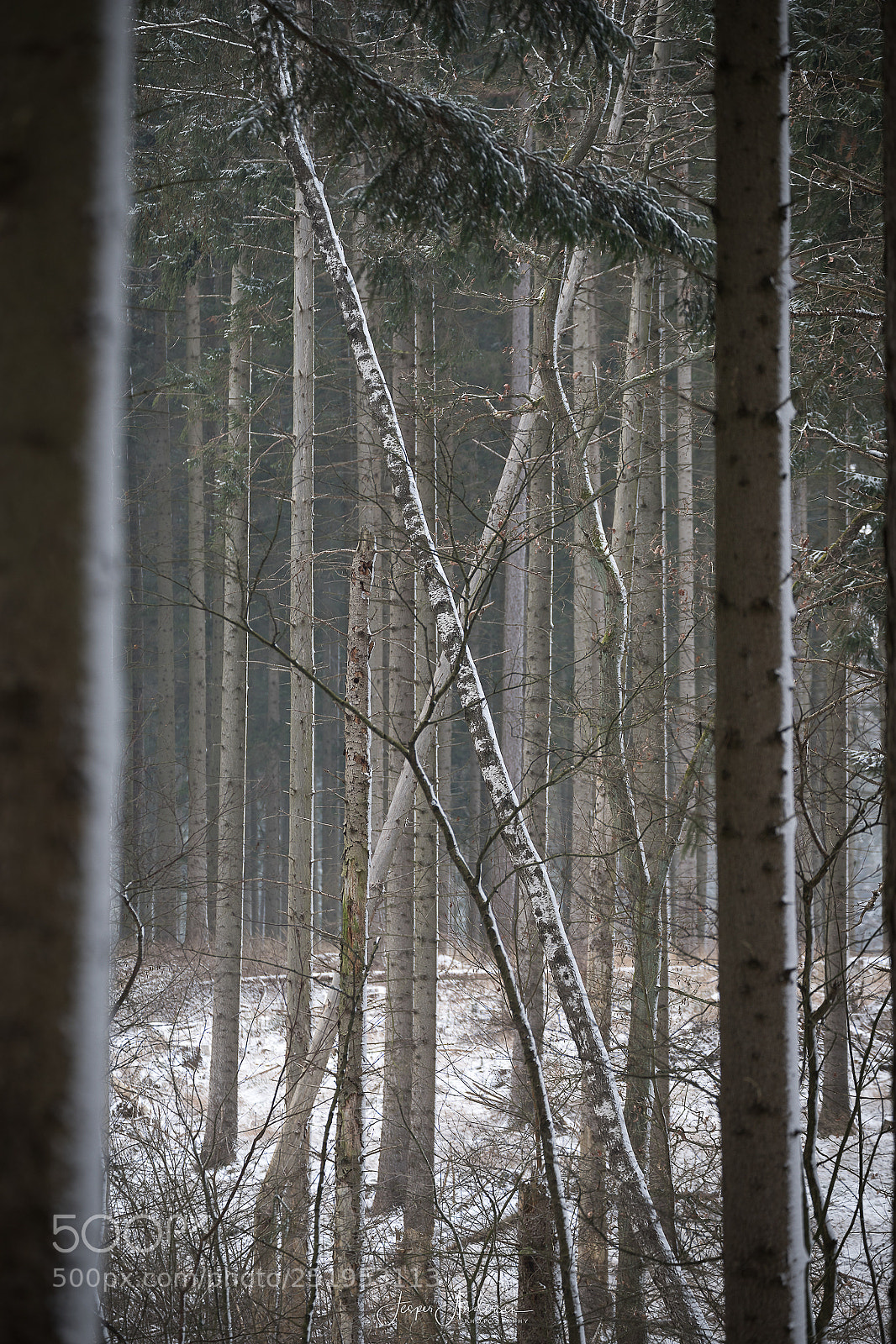 Canon EOS 6D Mark II sample photo. Edit edit photography