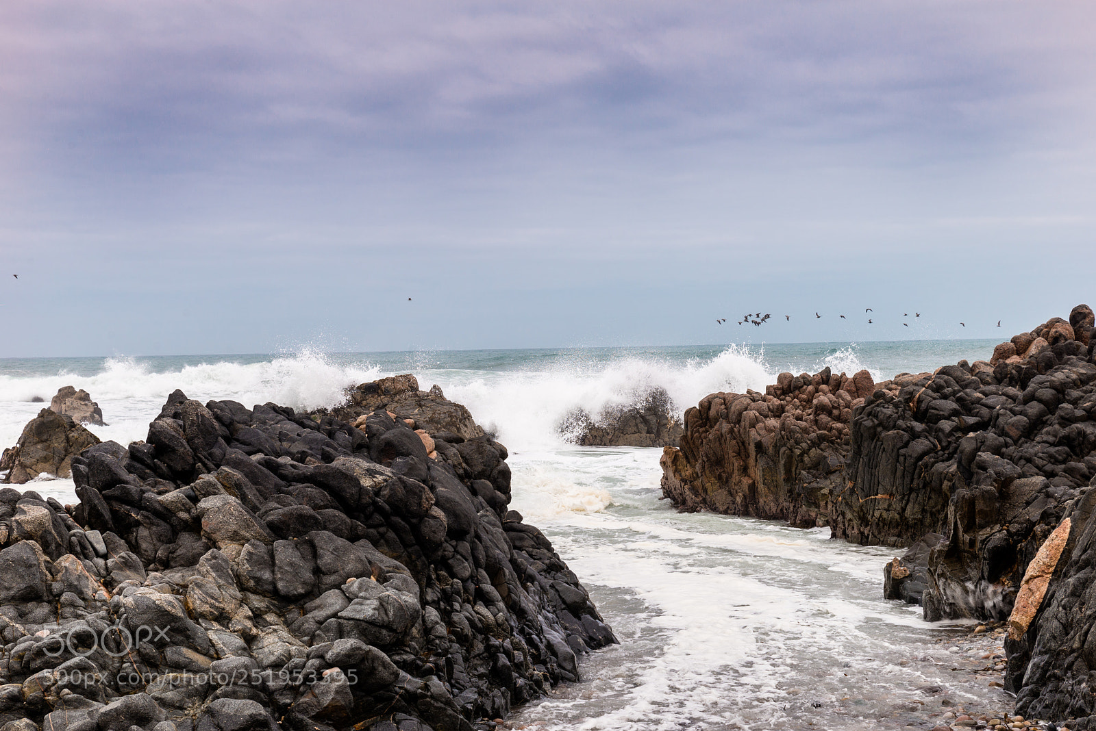 Nikon D610 sample photo. The heights of the photography