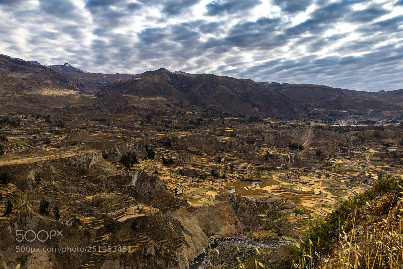 Nikon D610 sample photo. The heights of the photography