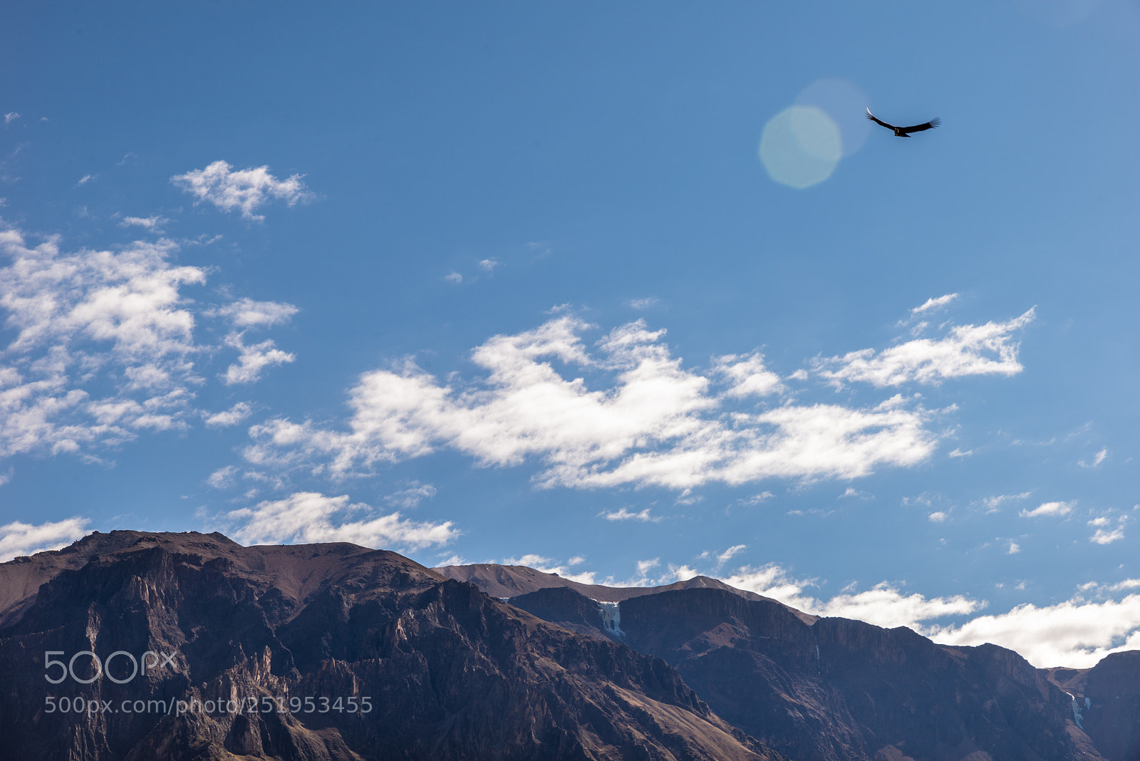 Nikon D610 sample photo. The heights of the photography